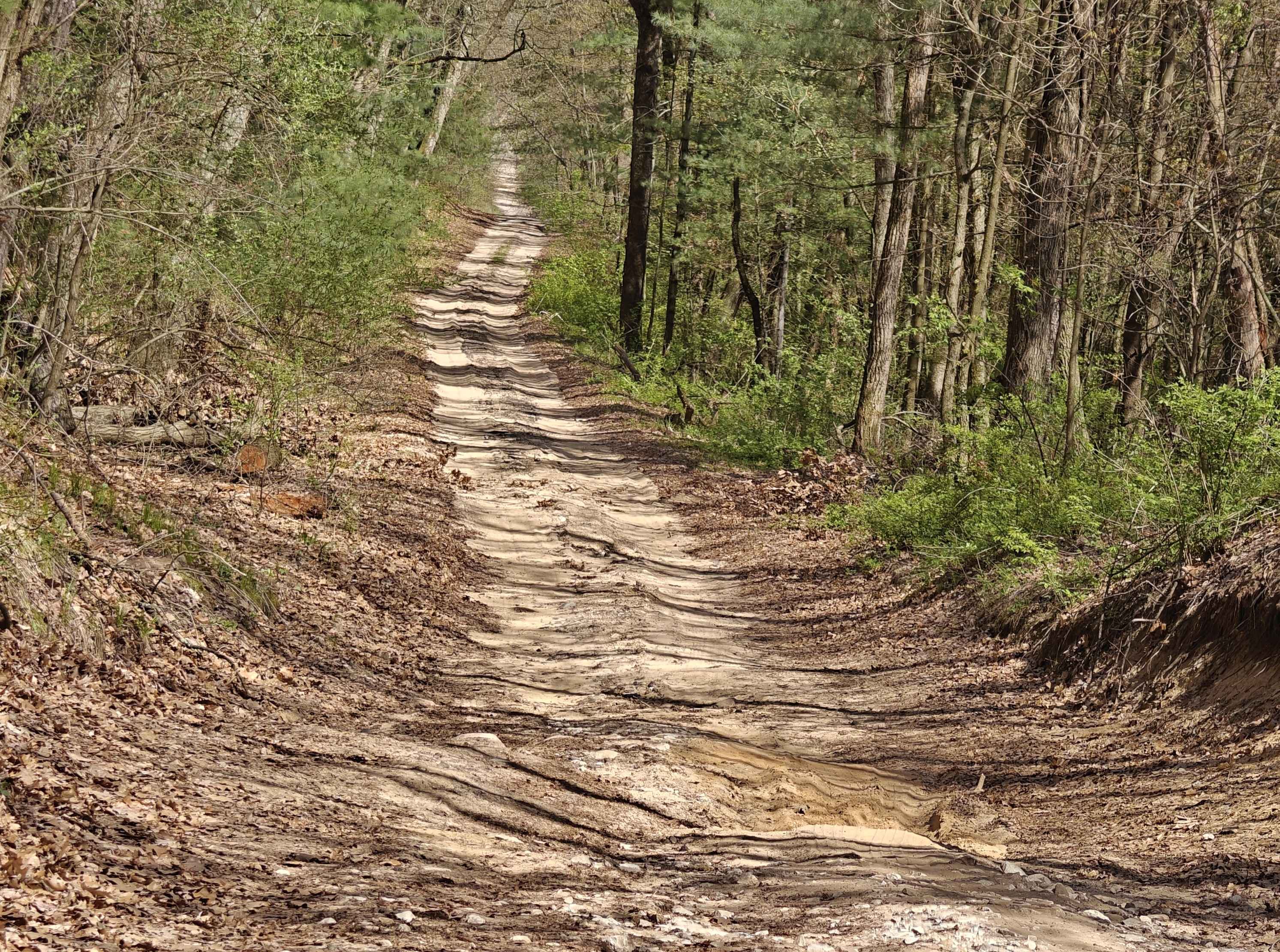 Middleville State Game Area