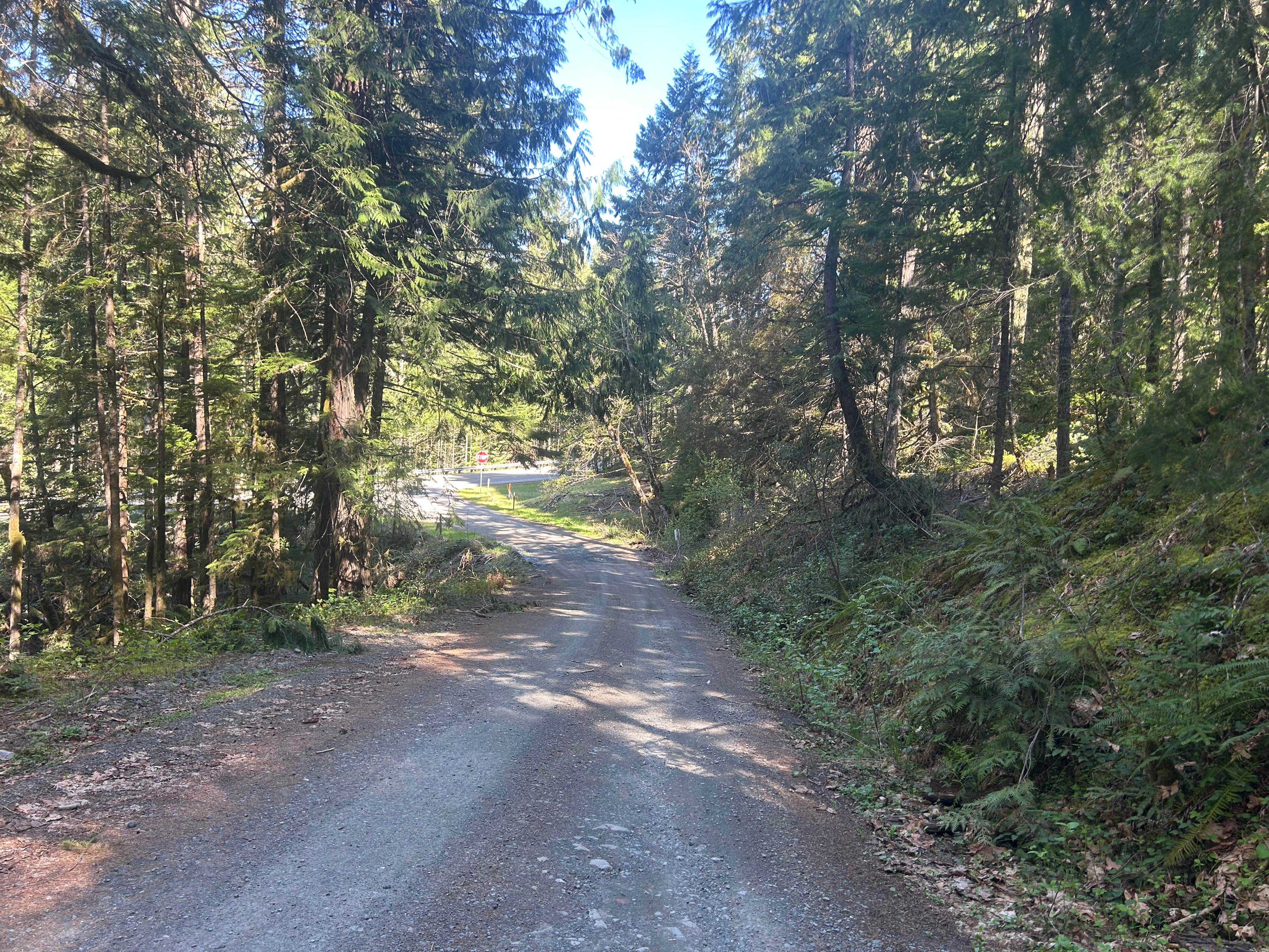 Lava Creek Road