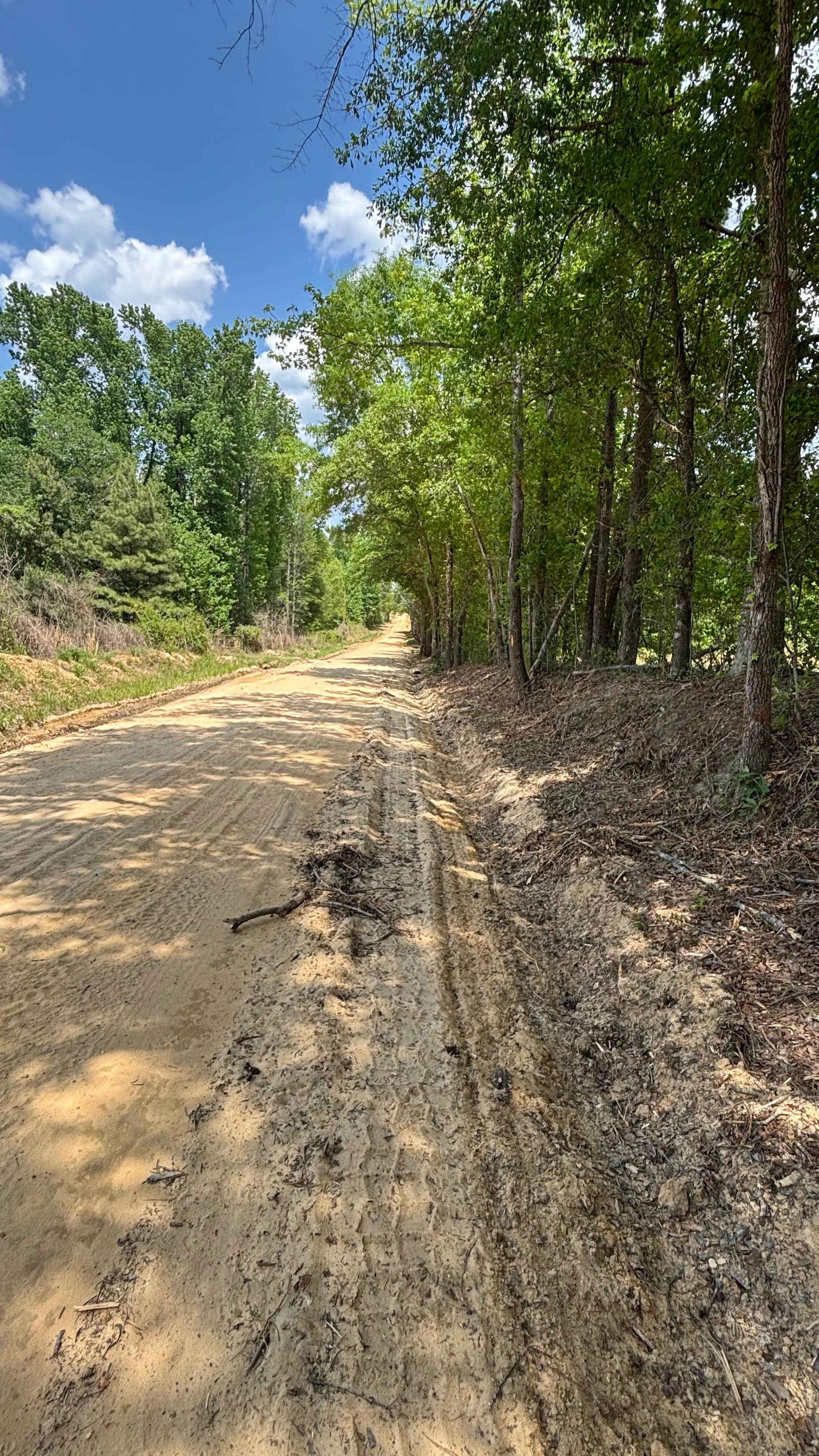 Shag Road