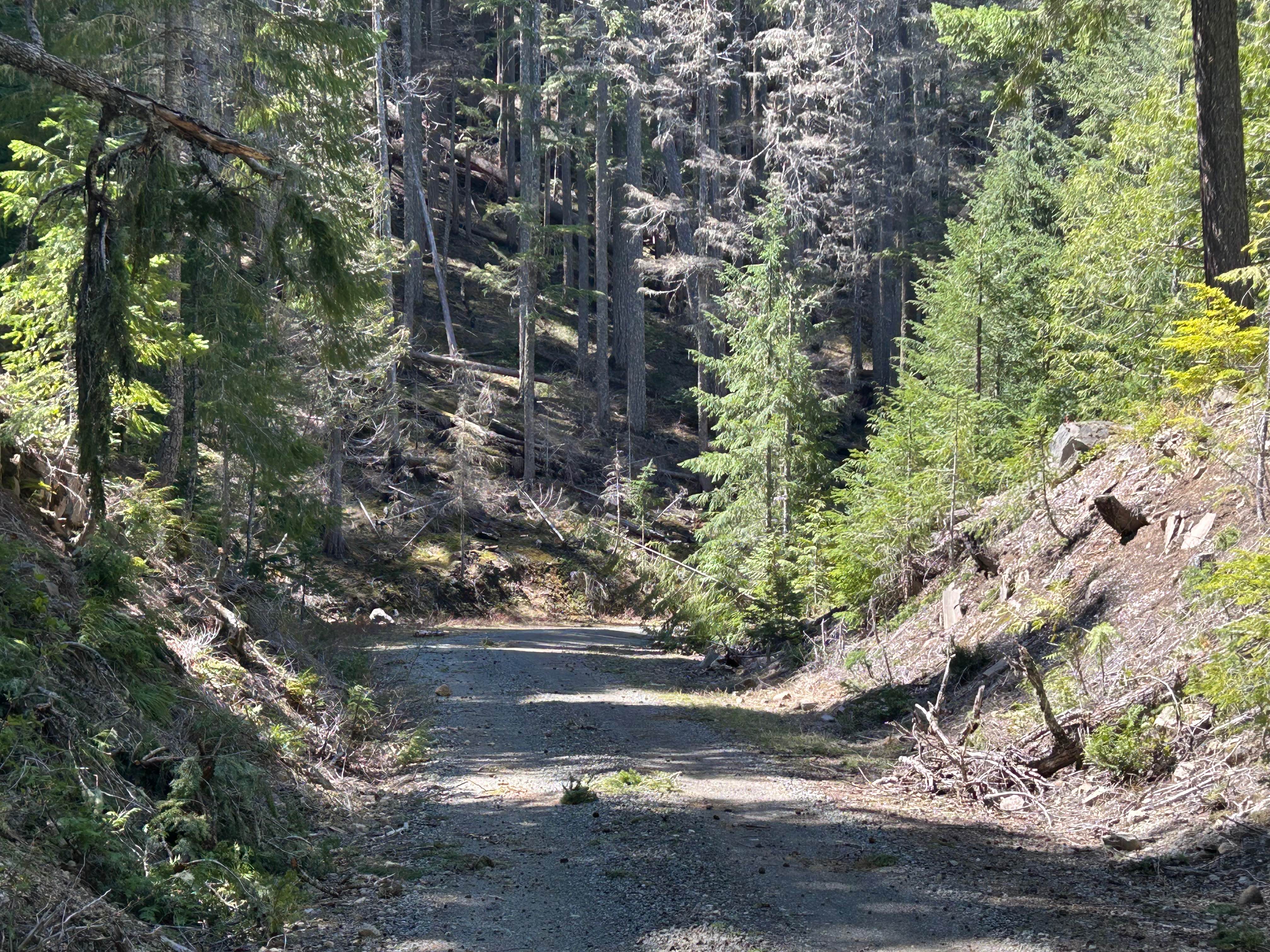 Canyon Road