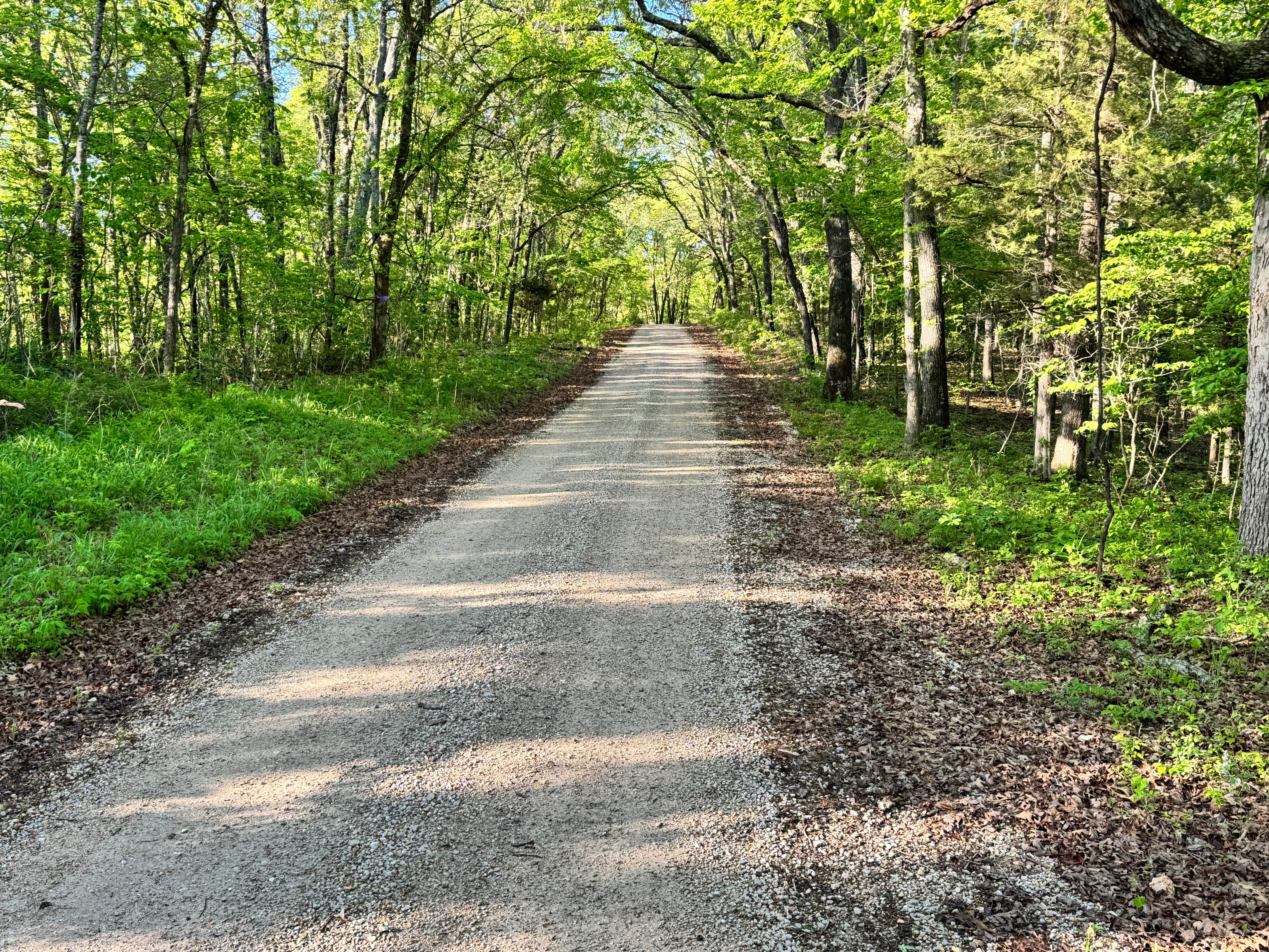 County Road 6420