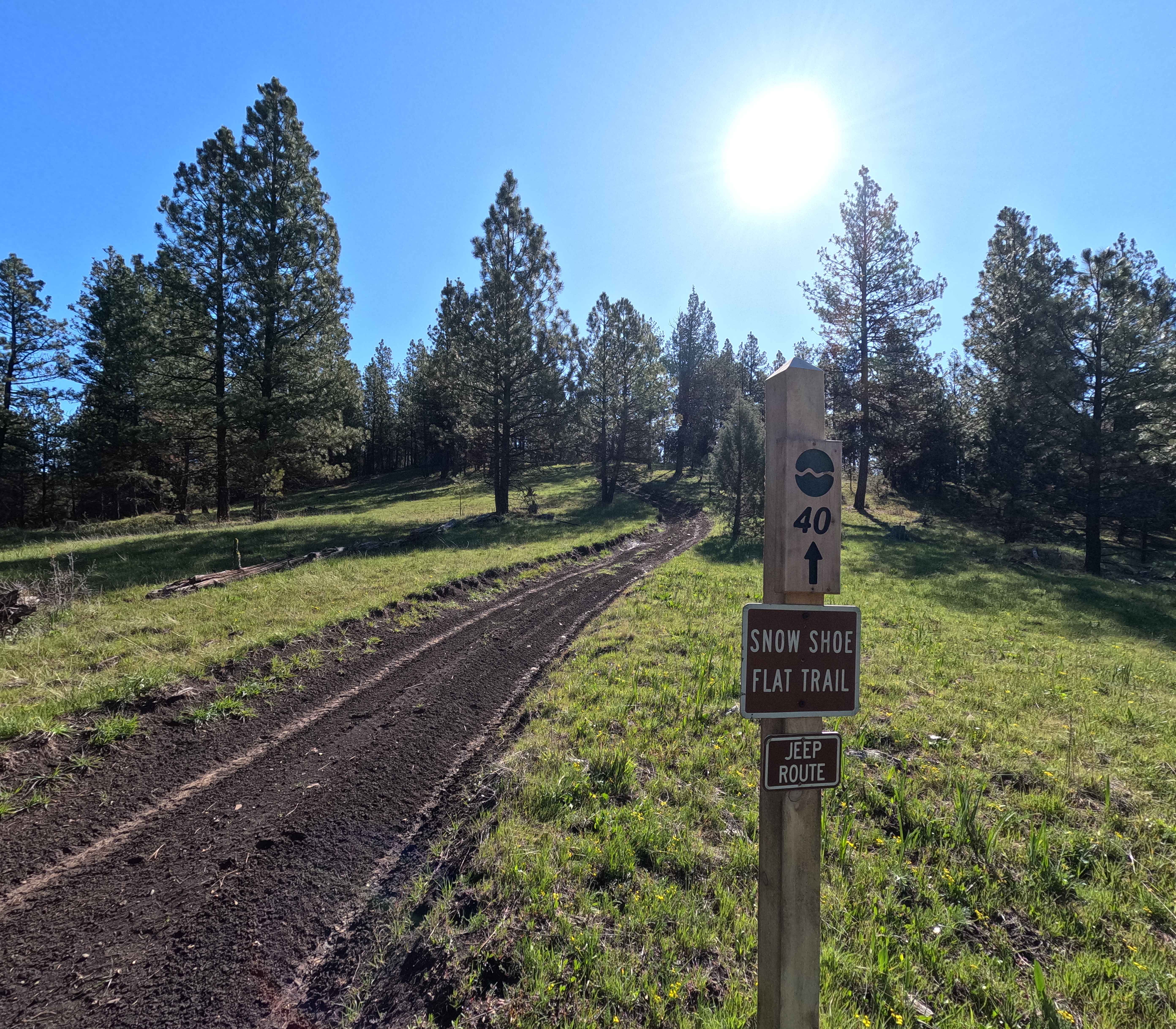 Snow Shoe Flat Trail - 40