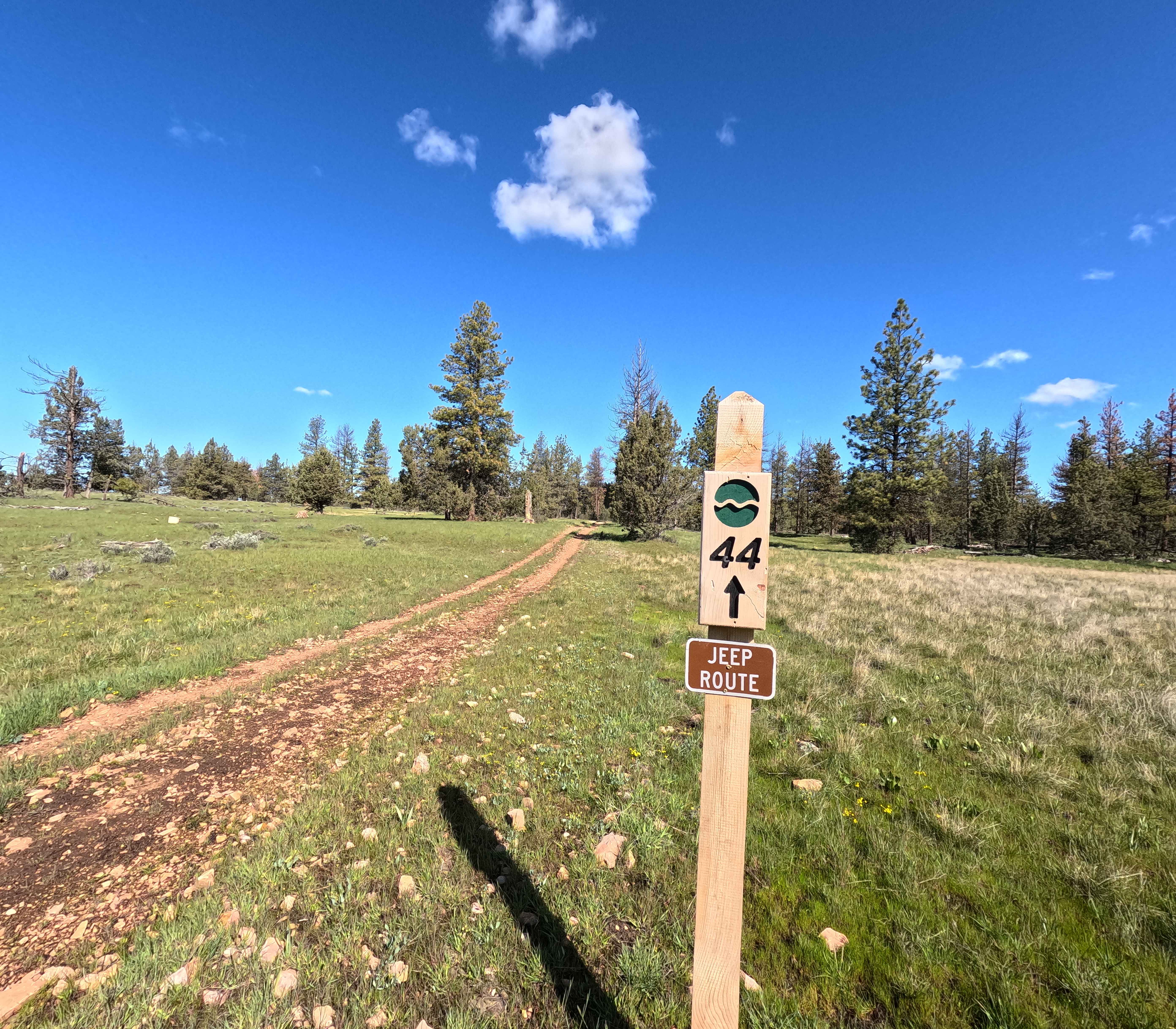 Trail 44