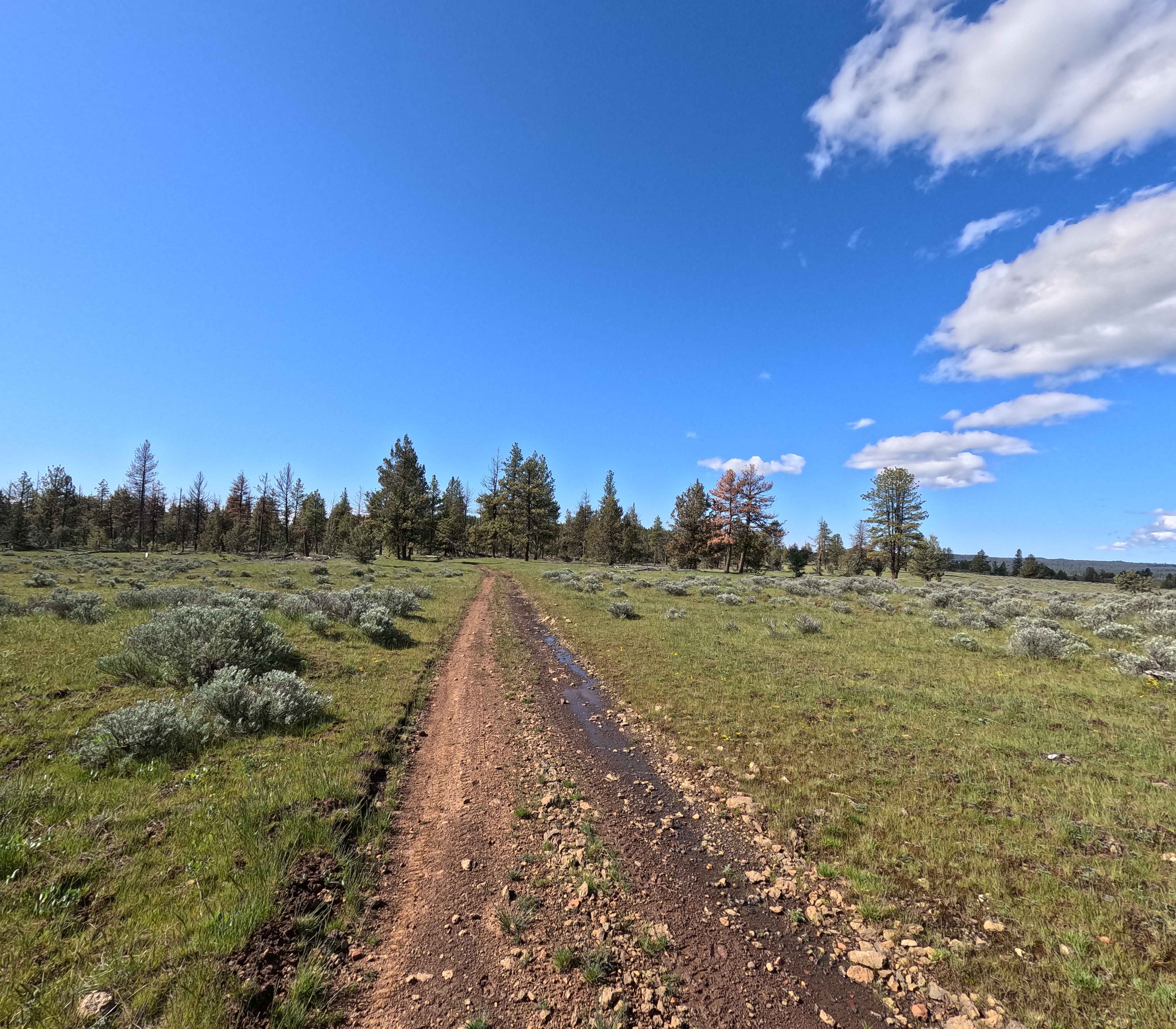 Trail 44
