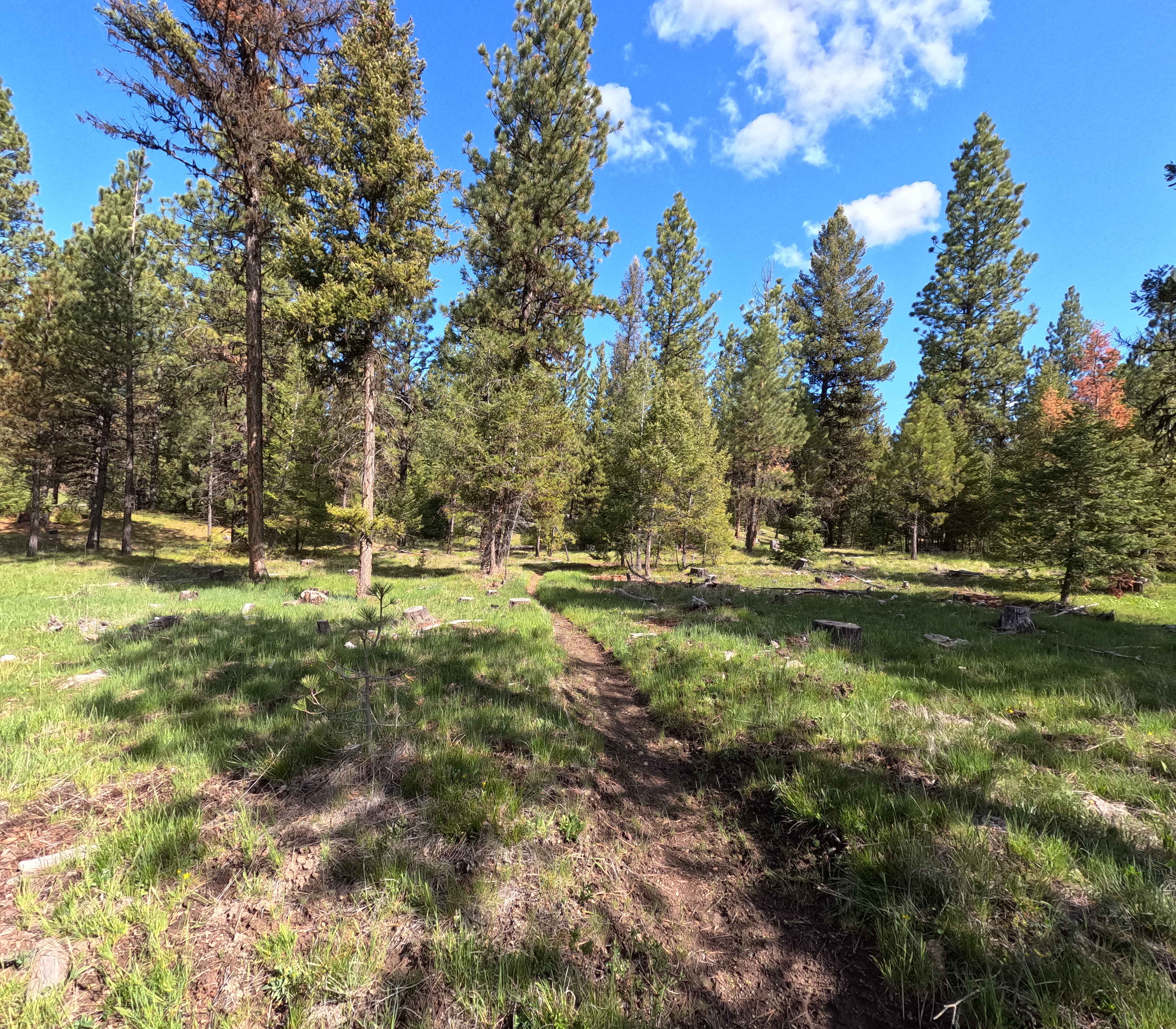 Trail 56