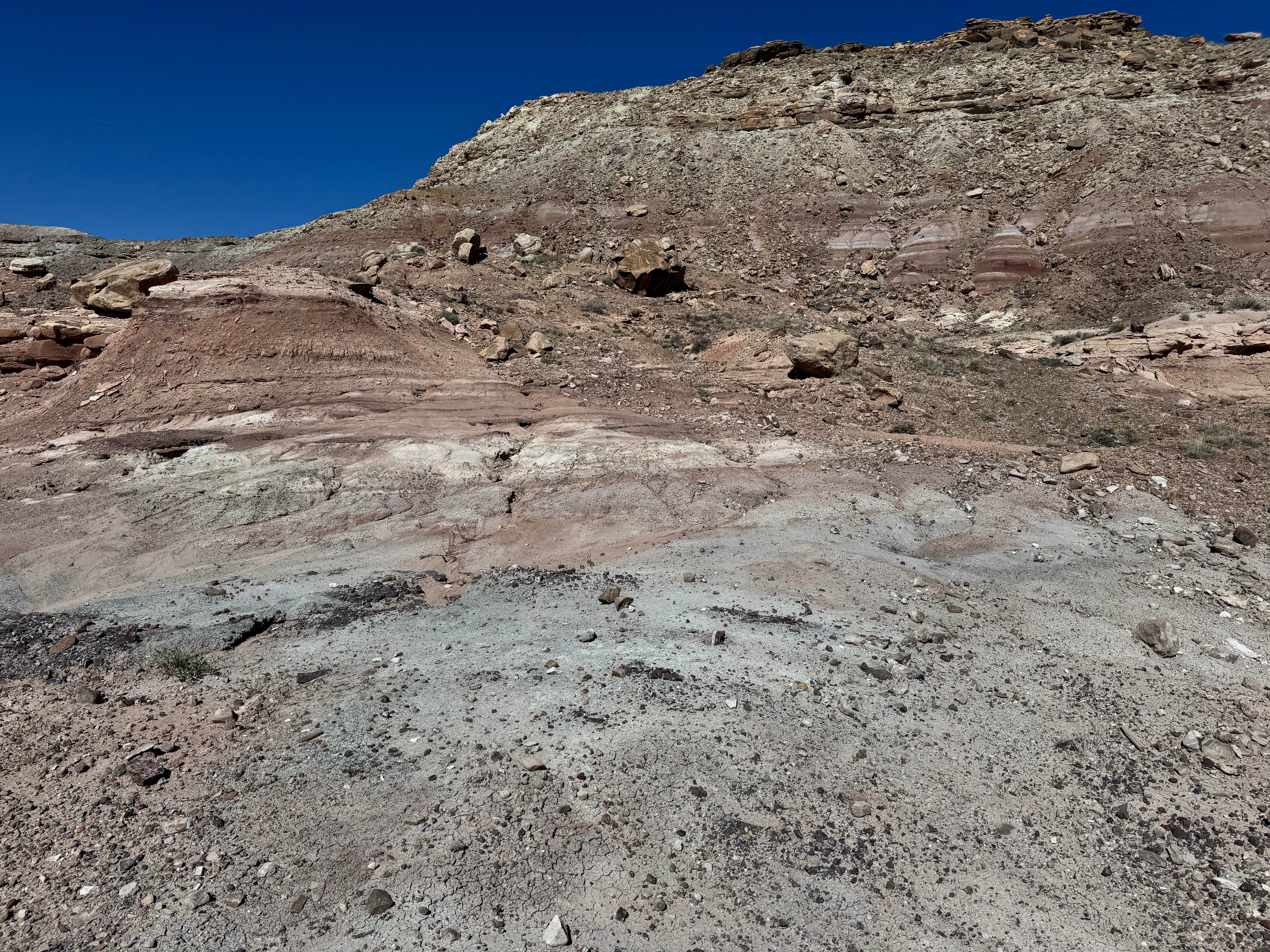 Forgotten Mine Road