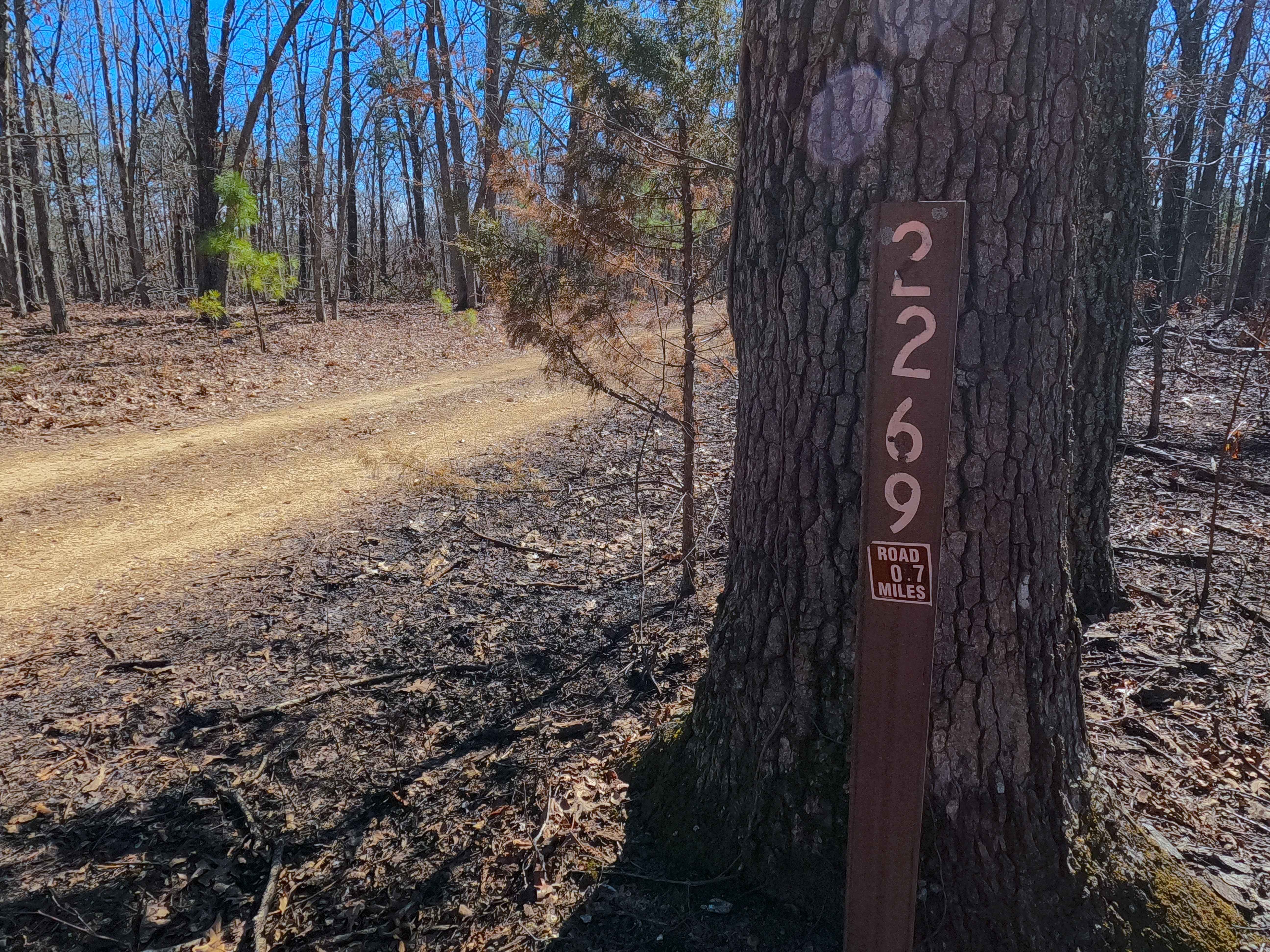 Clear Creek North Side - FS 2269