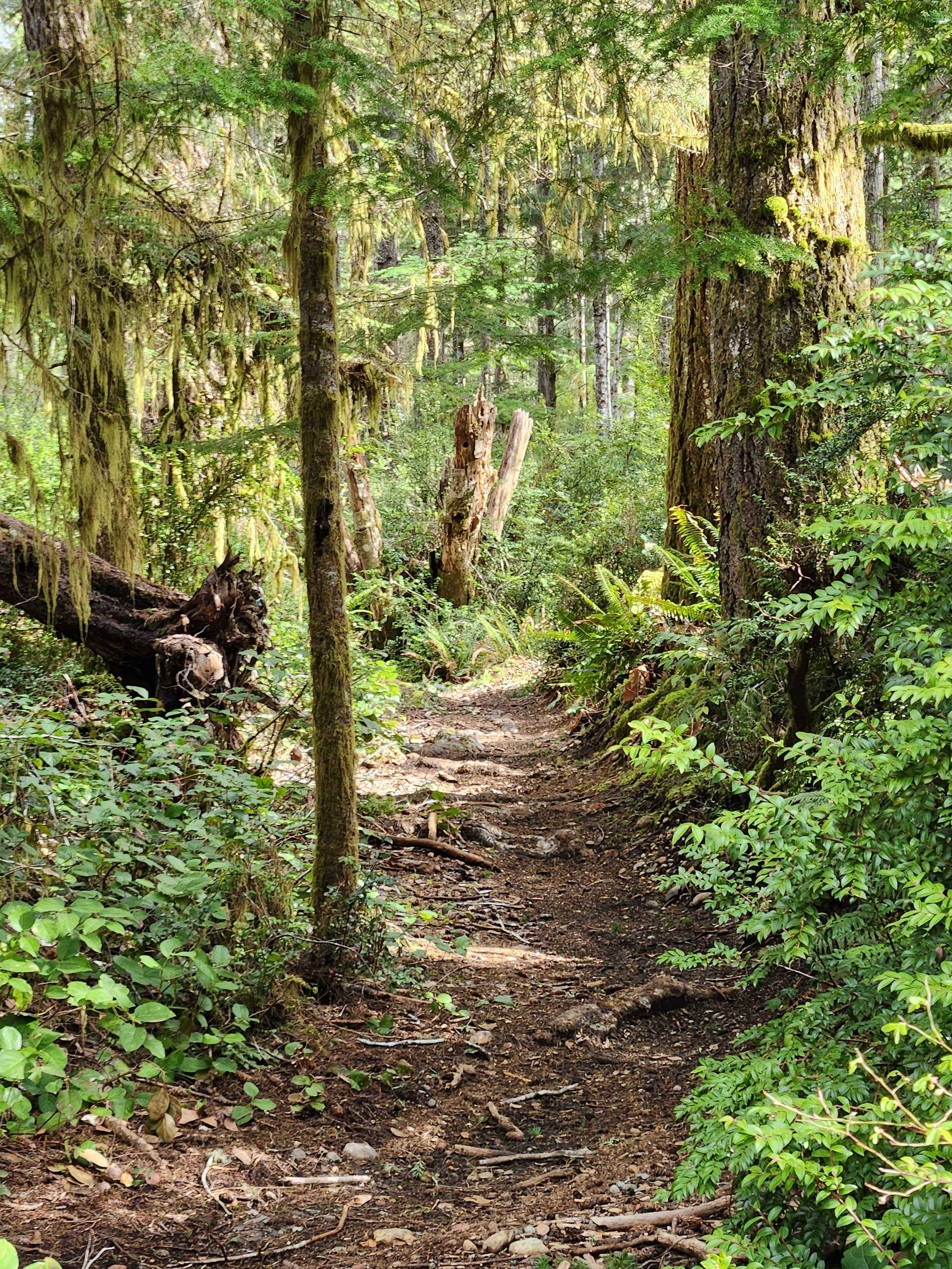 Twin Lakes Loop