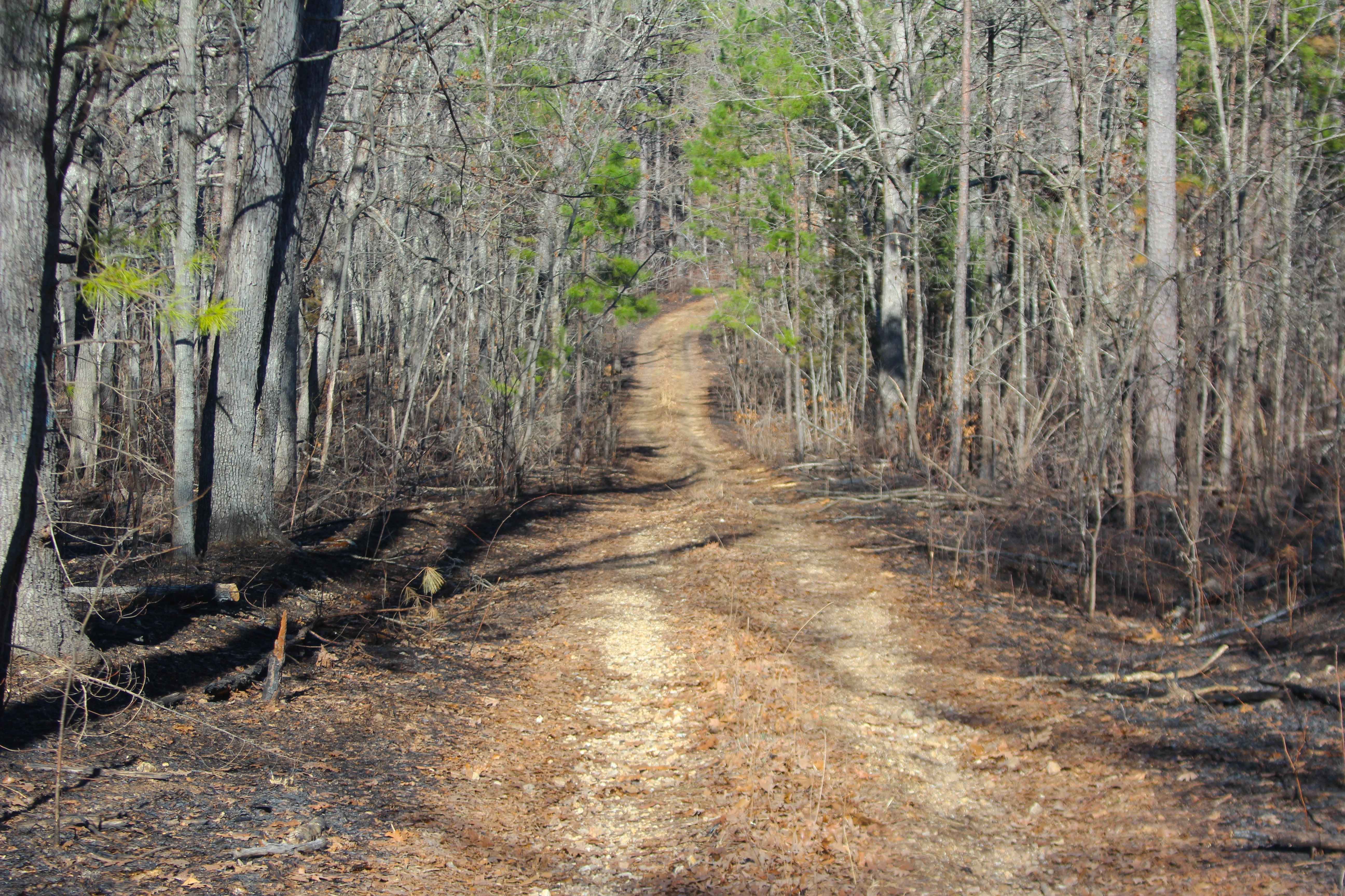 Hidden Pond Spur A - FS 2607A