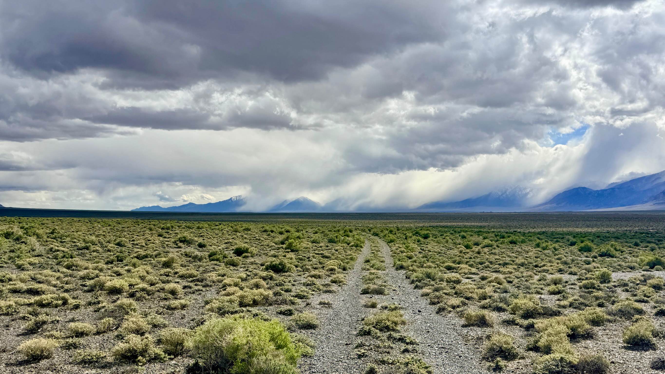 Lower Canyon Cutover Trail - BLM 288
