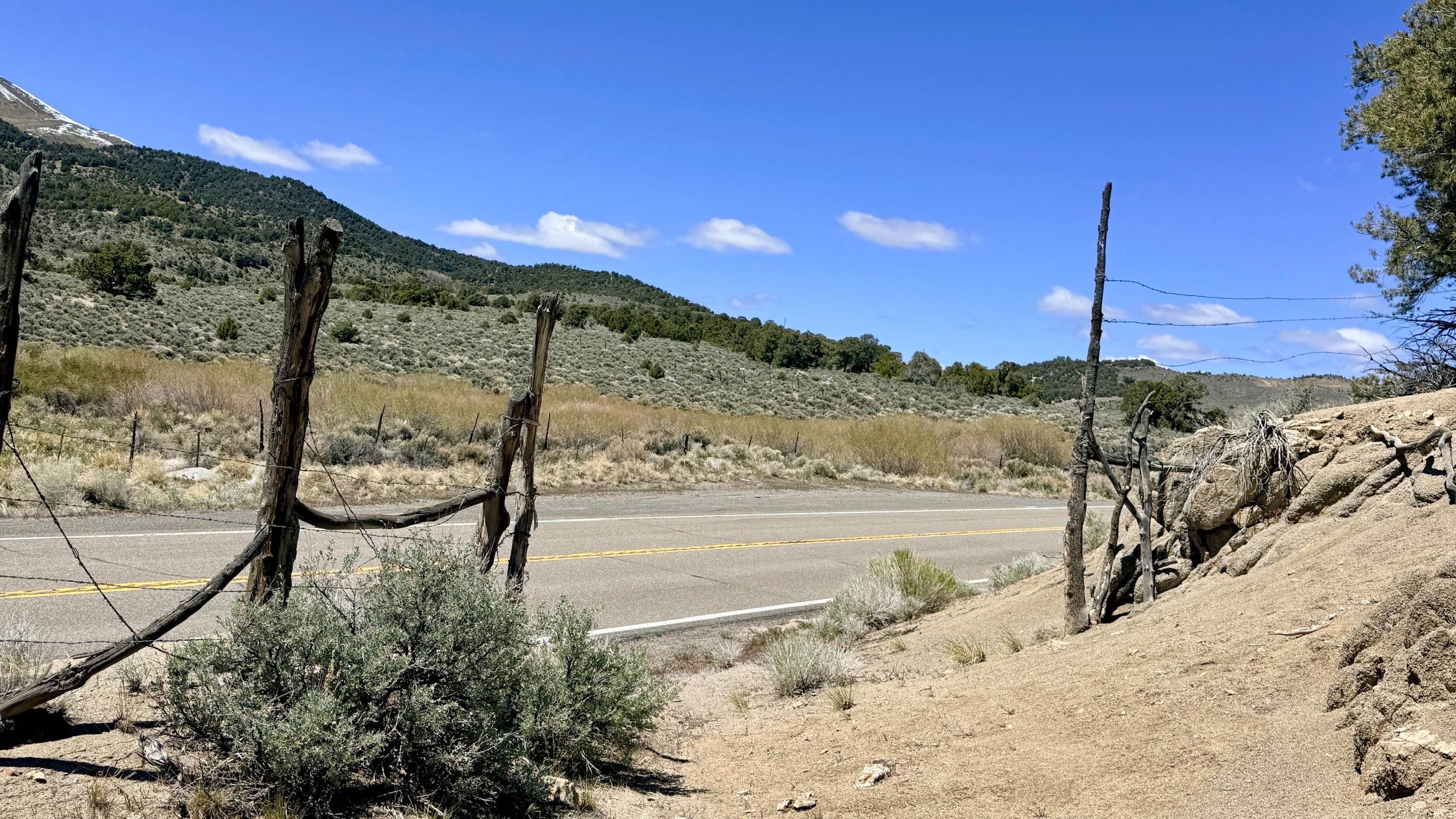 Blackbird Ranch Loop FS43255