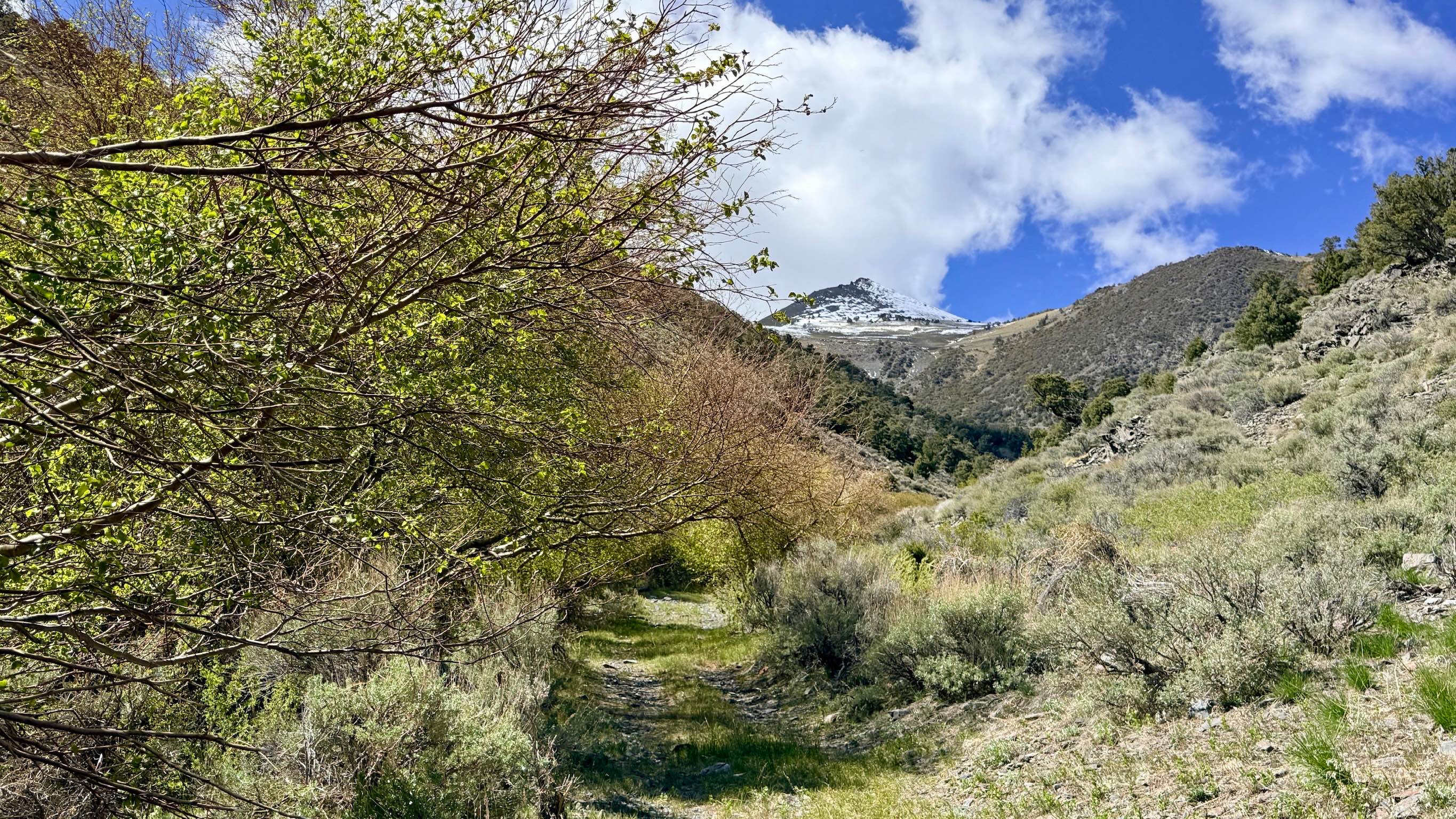 Blakely Canyon
