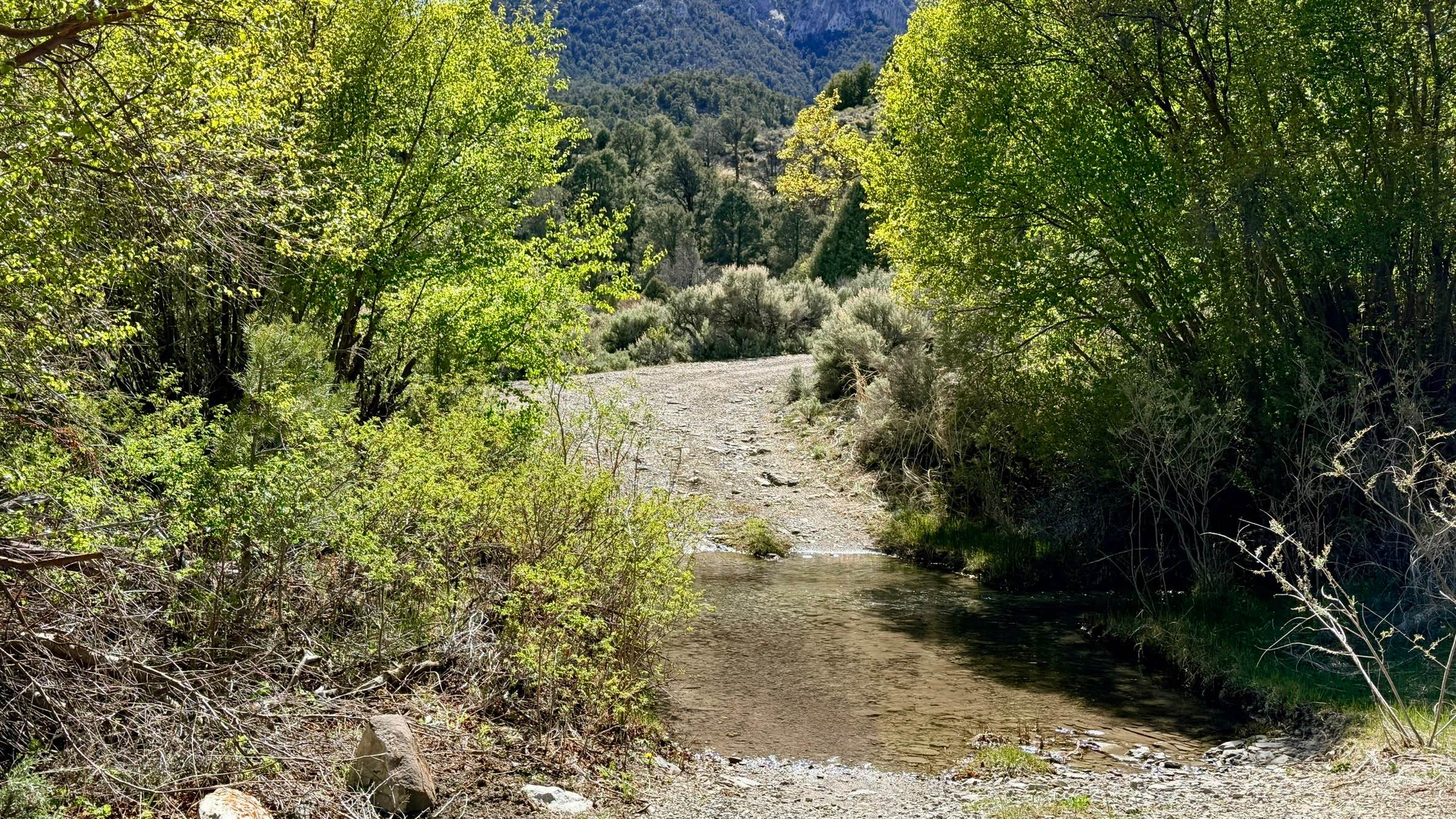Bowman Creek FS43307