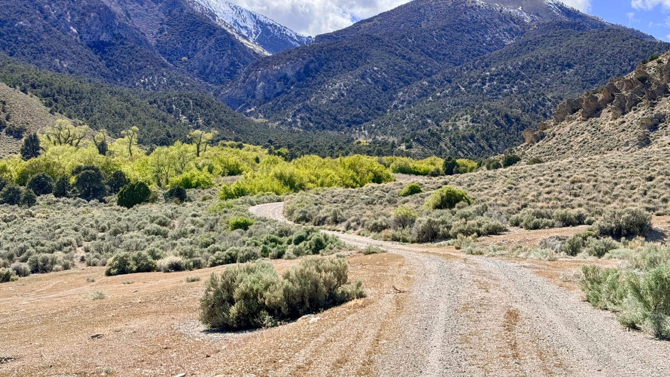 Bowman Creek FS43307