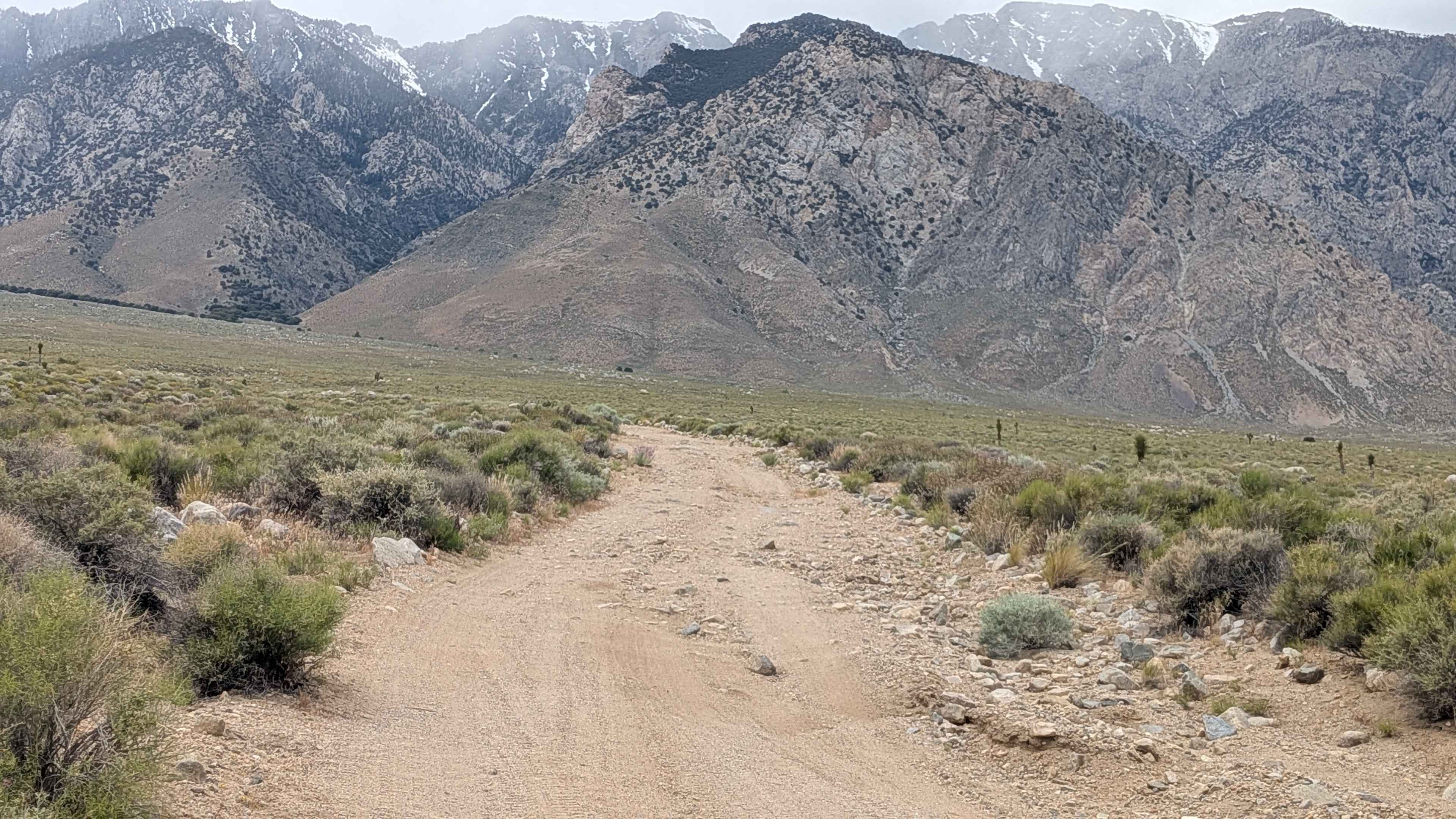 Walker Creek Road - FS 19S01