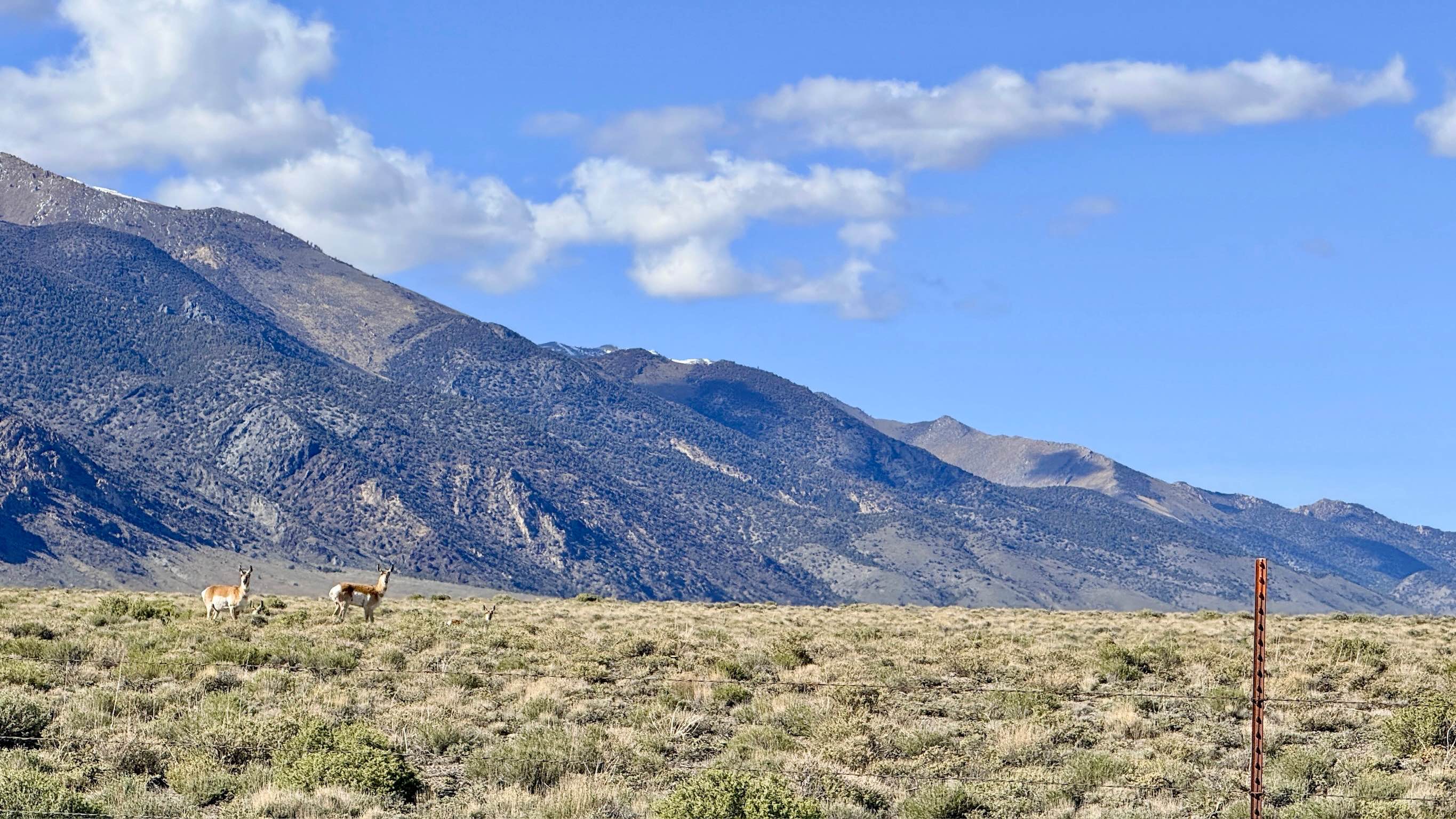 Foothill Loop