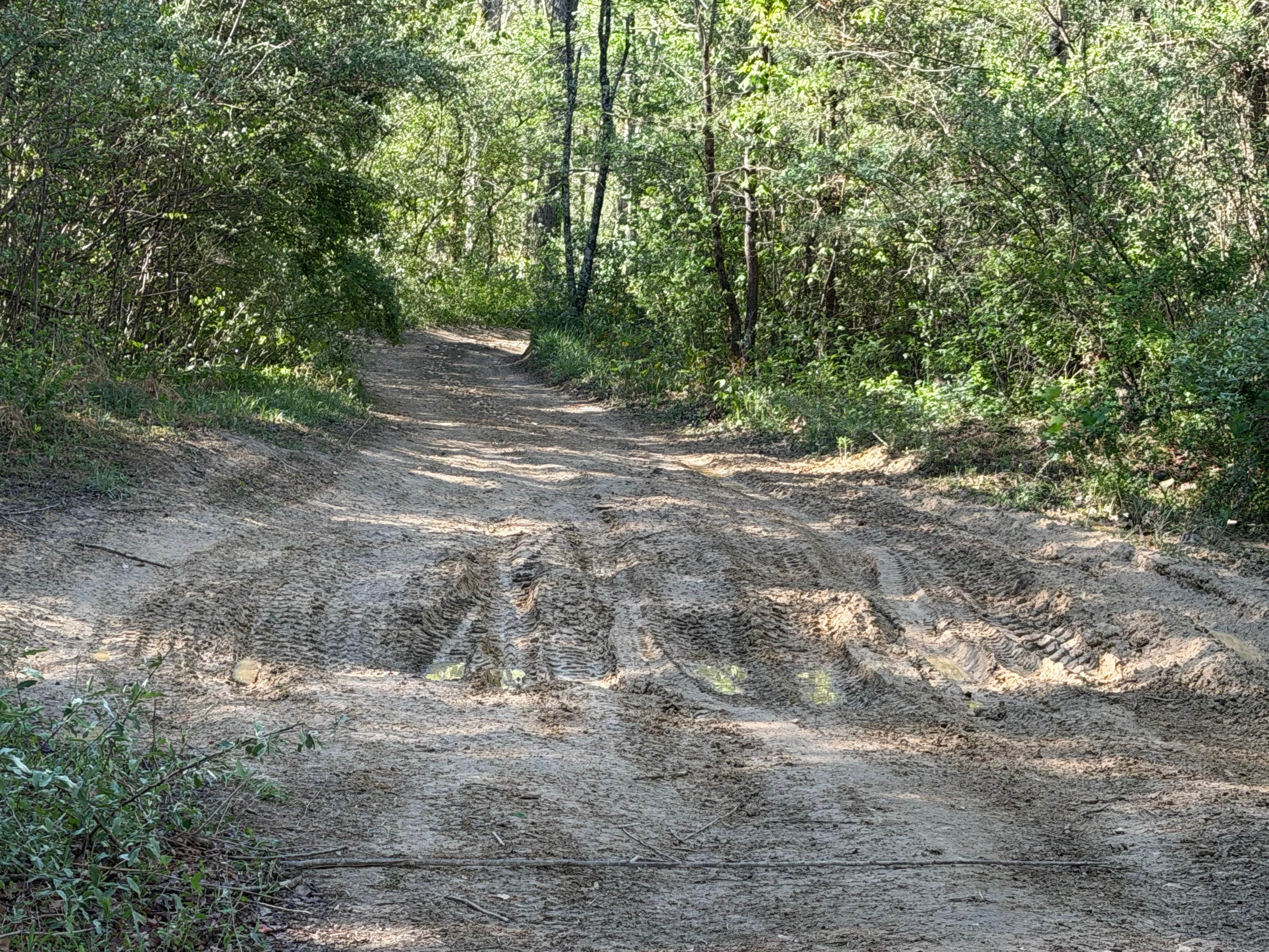Bear Claw Trail