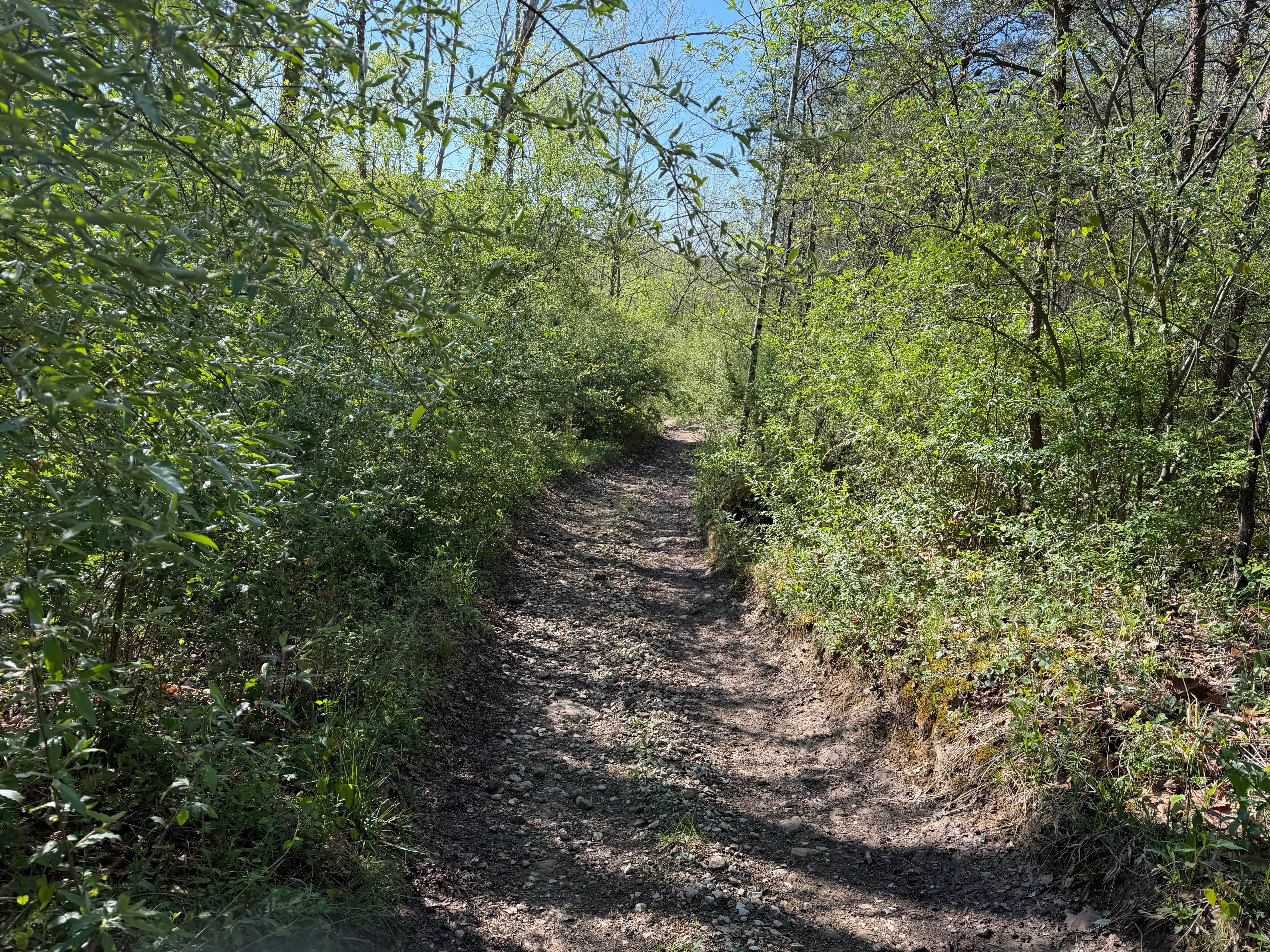 Bear Claw Trail