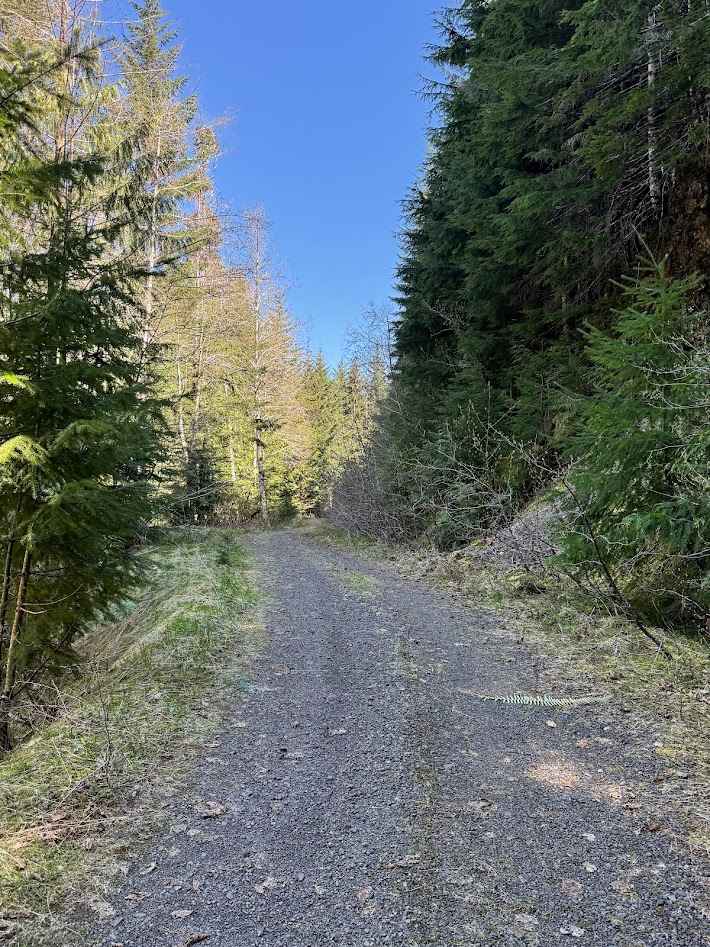 Deep Creek / Snider Ridge 3067