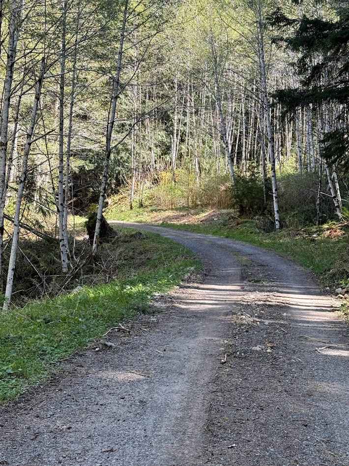 West Twin Road - FS 3000
