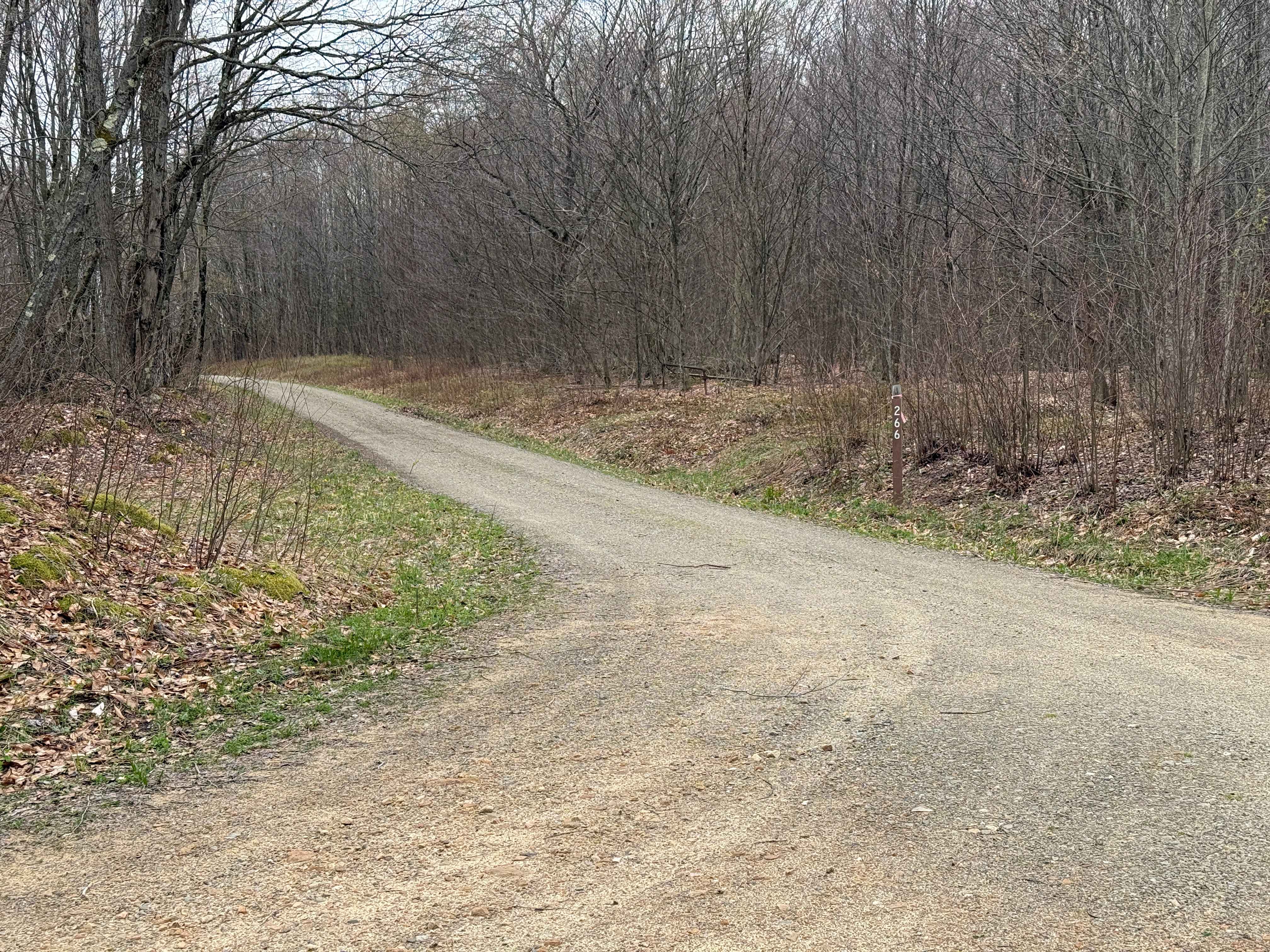Morrison Run - FS 266