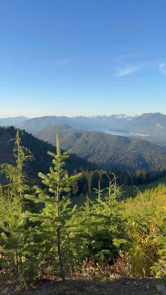 Tucker Creek Road