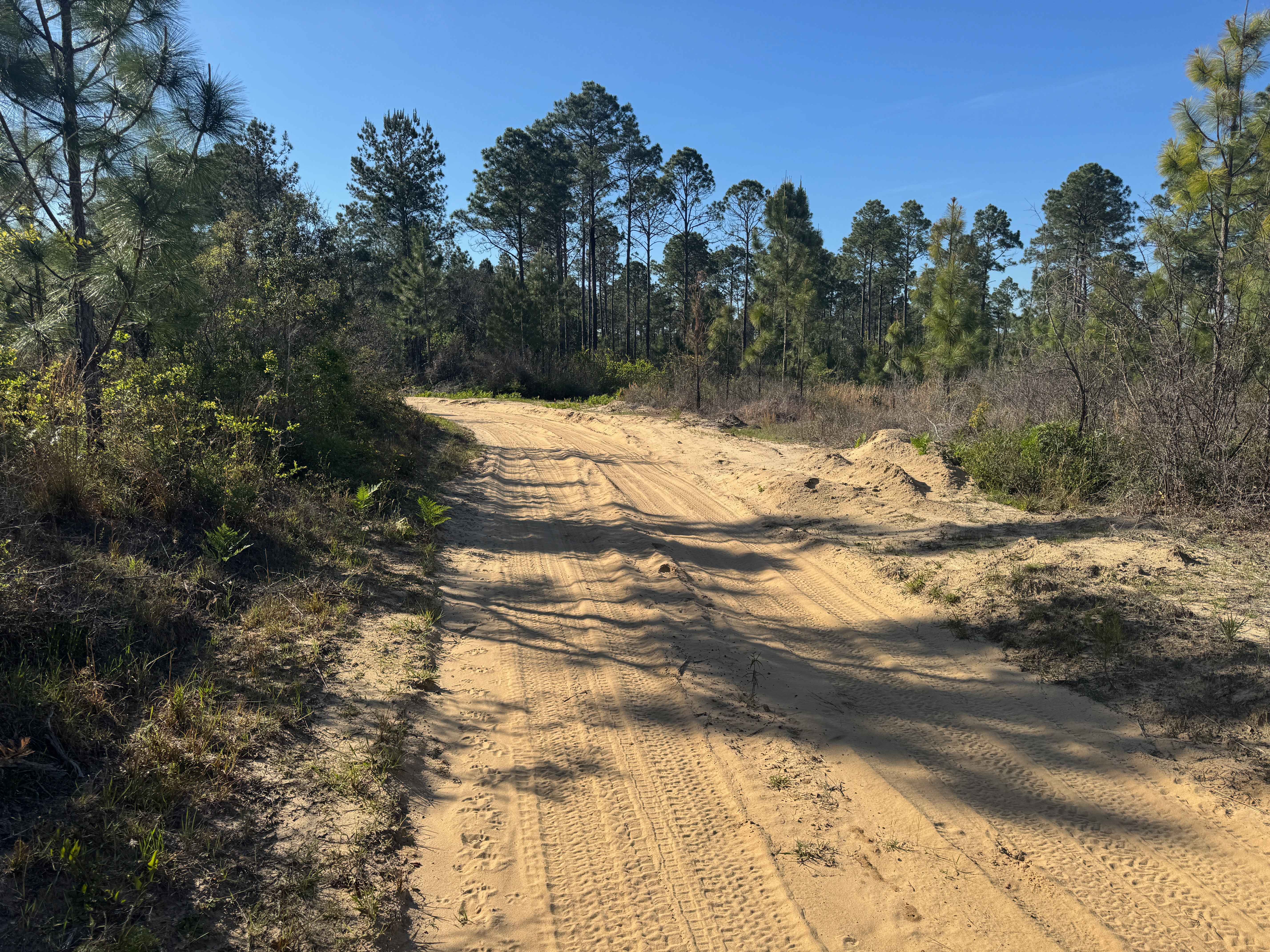 Duck Road Bypass