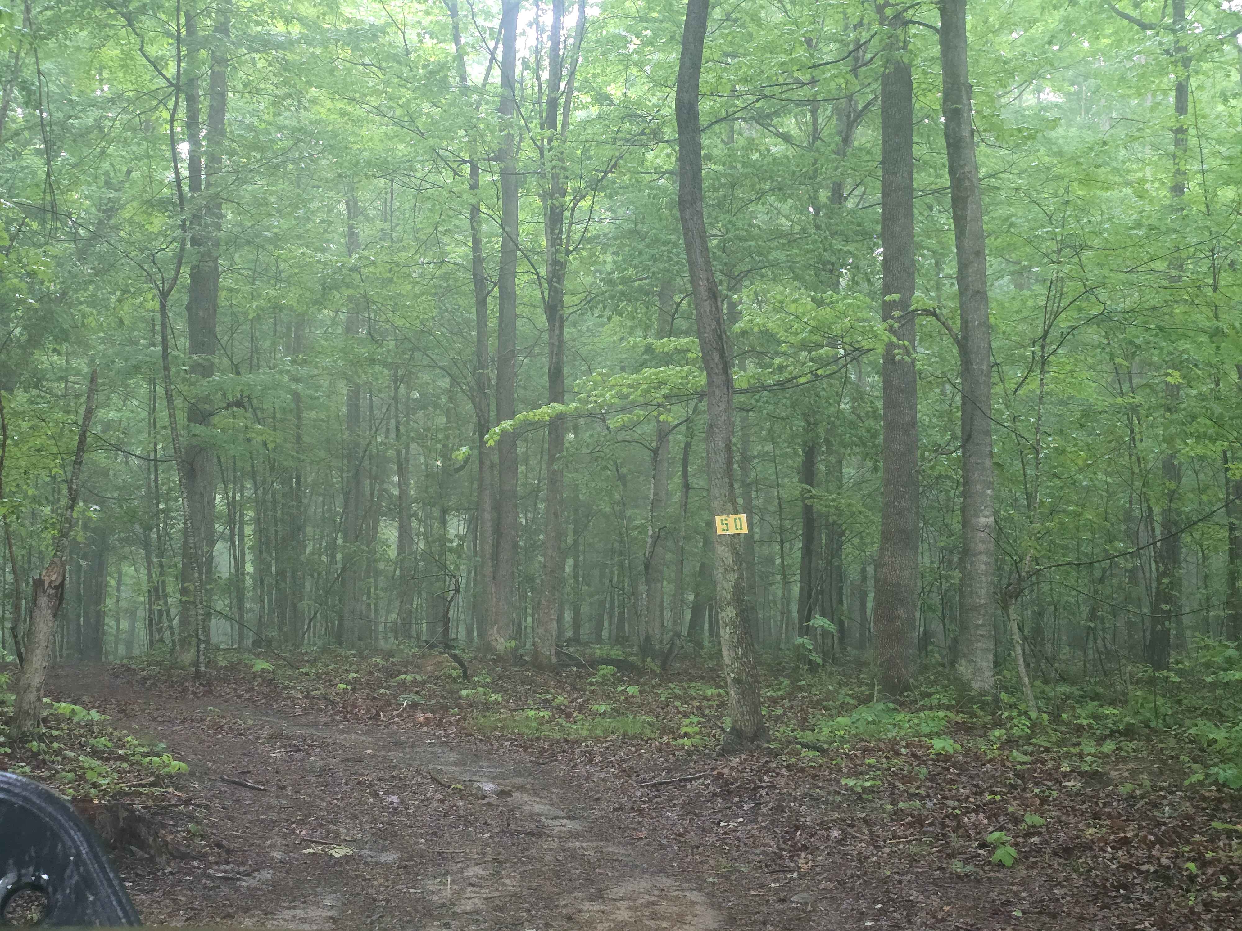 Trail 50