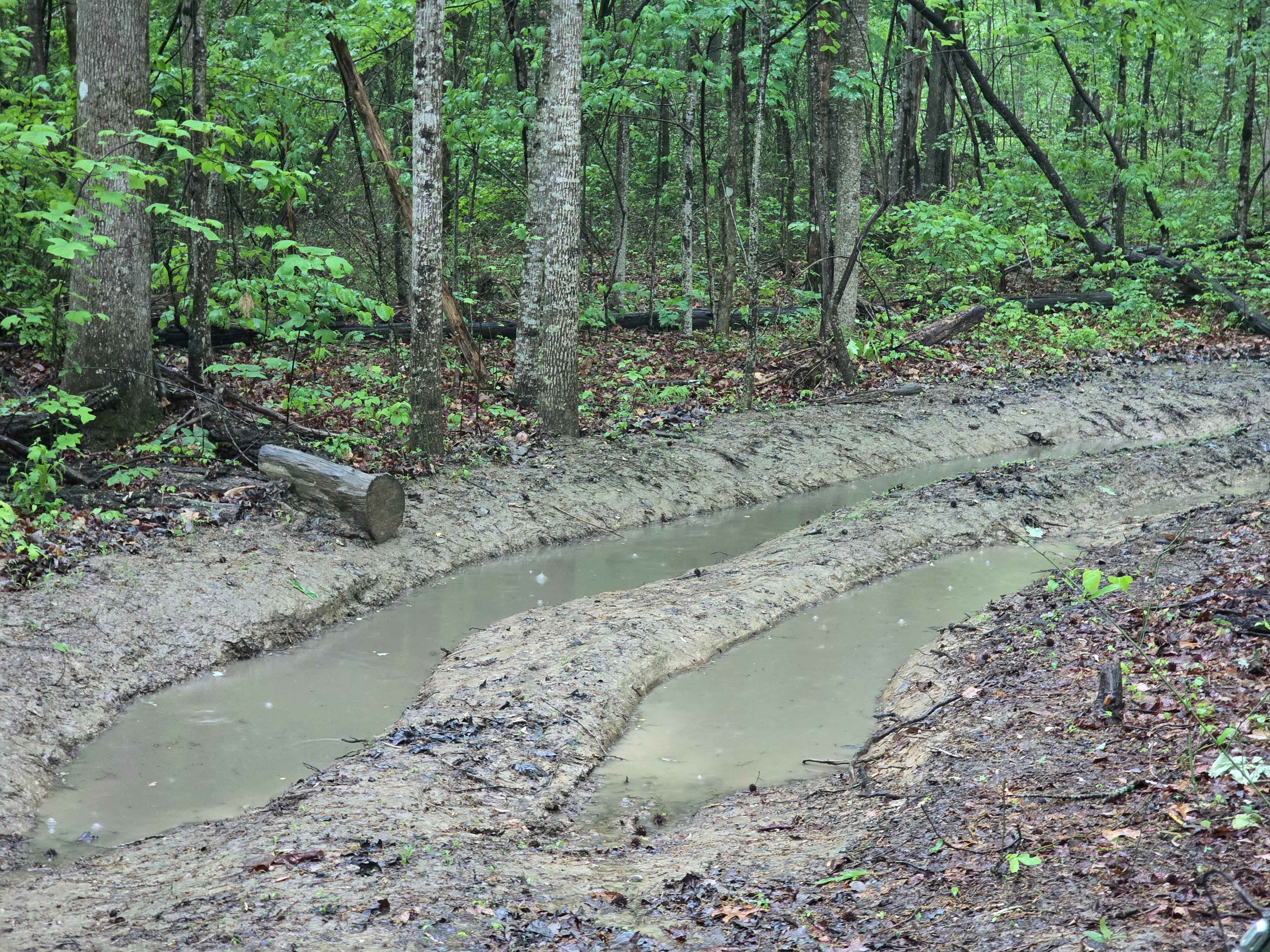 Trail 50