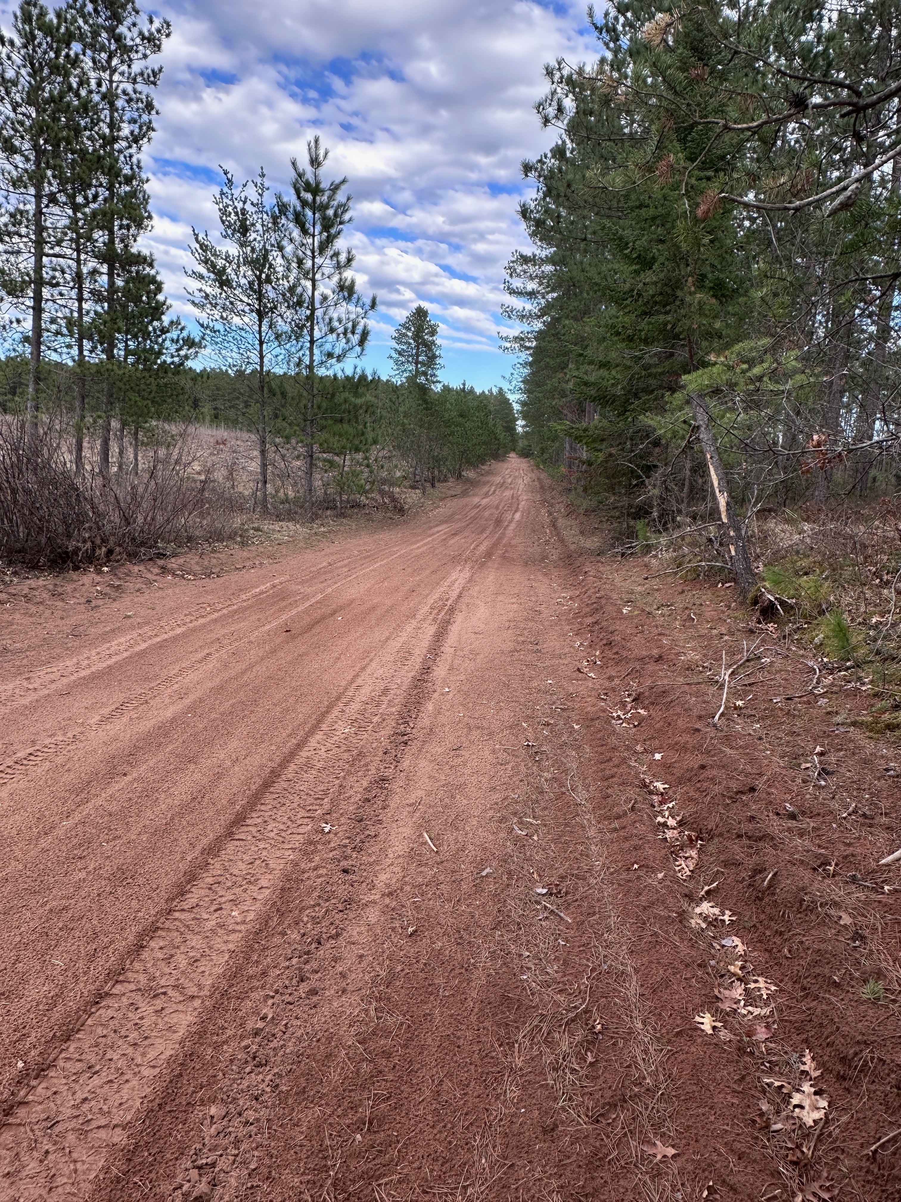 East West Forest Road
