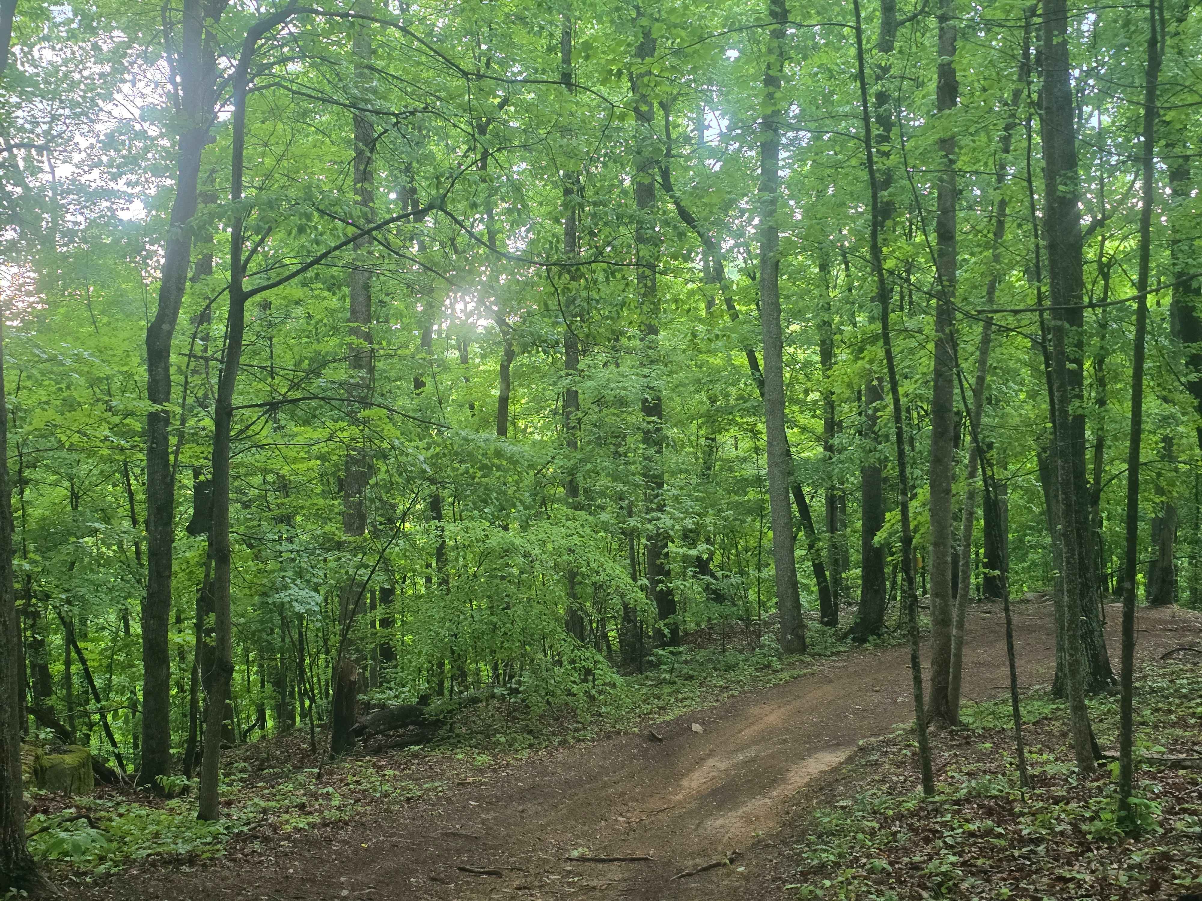Trail 49