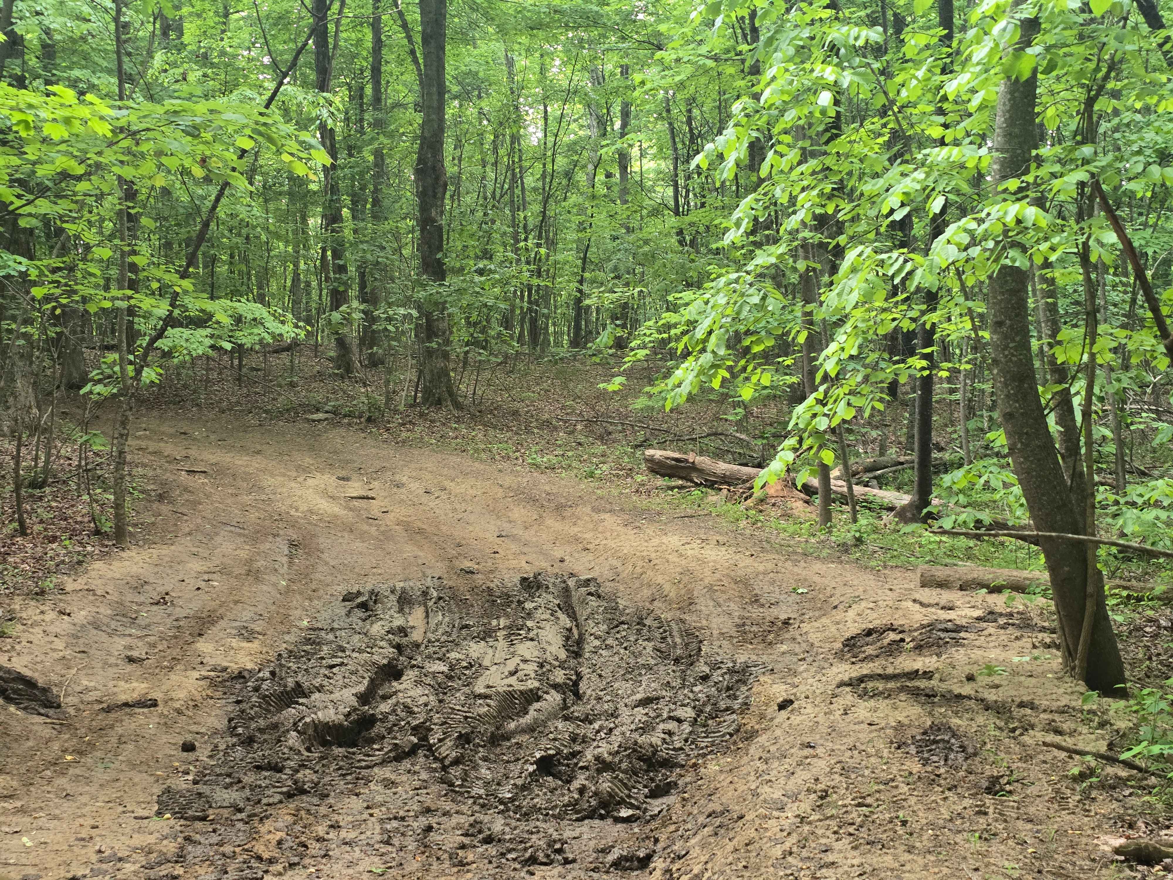 Trail 1B