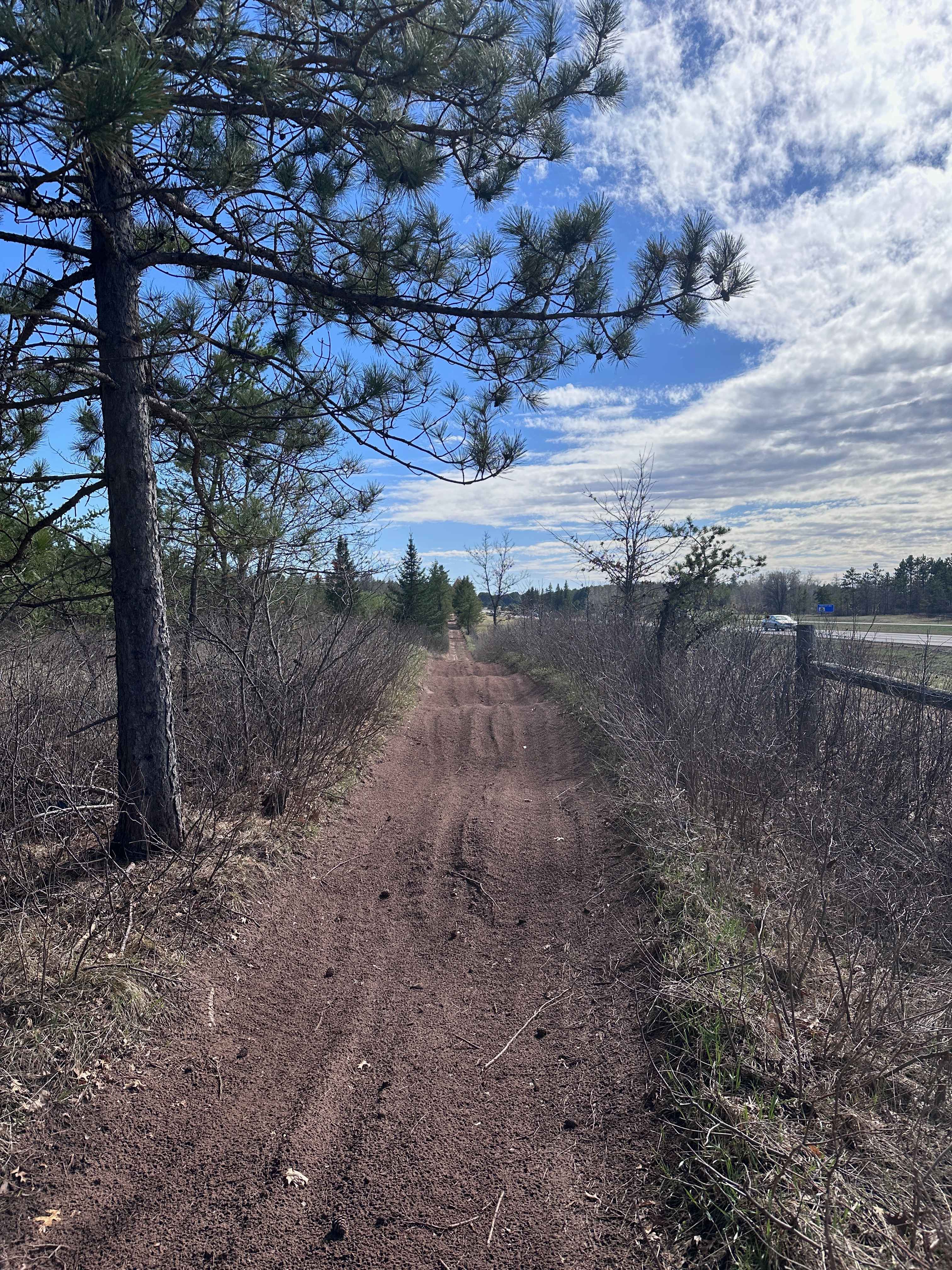 Sandy Pines Trail