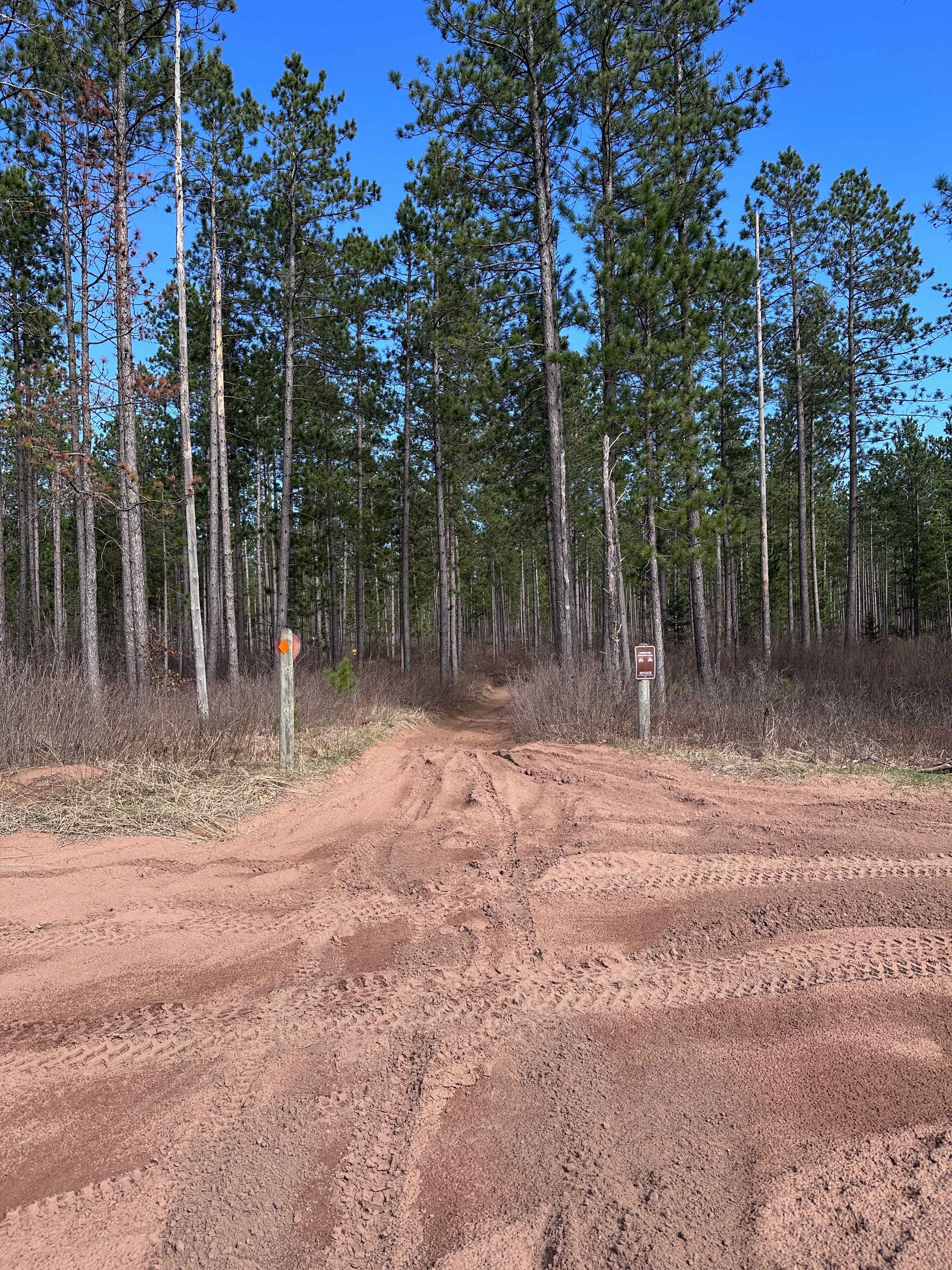 Sandy Pines Trail