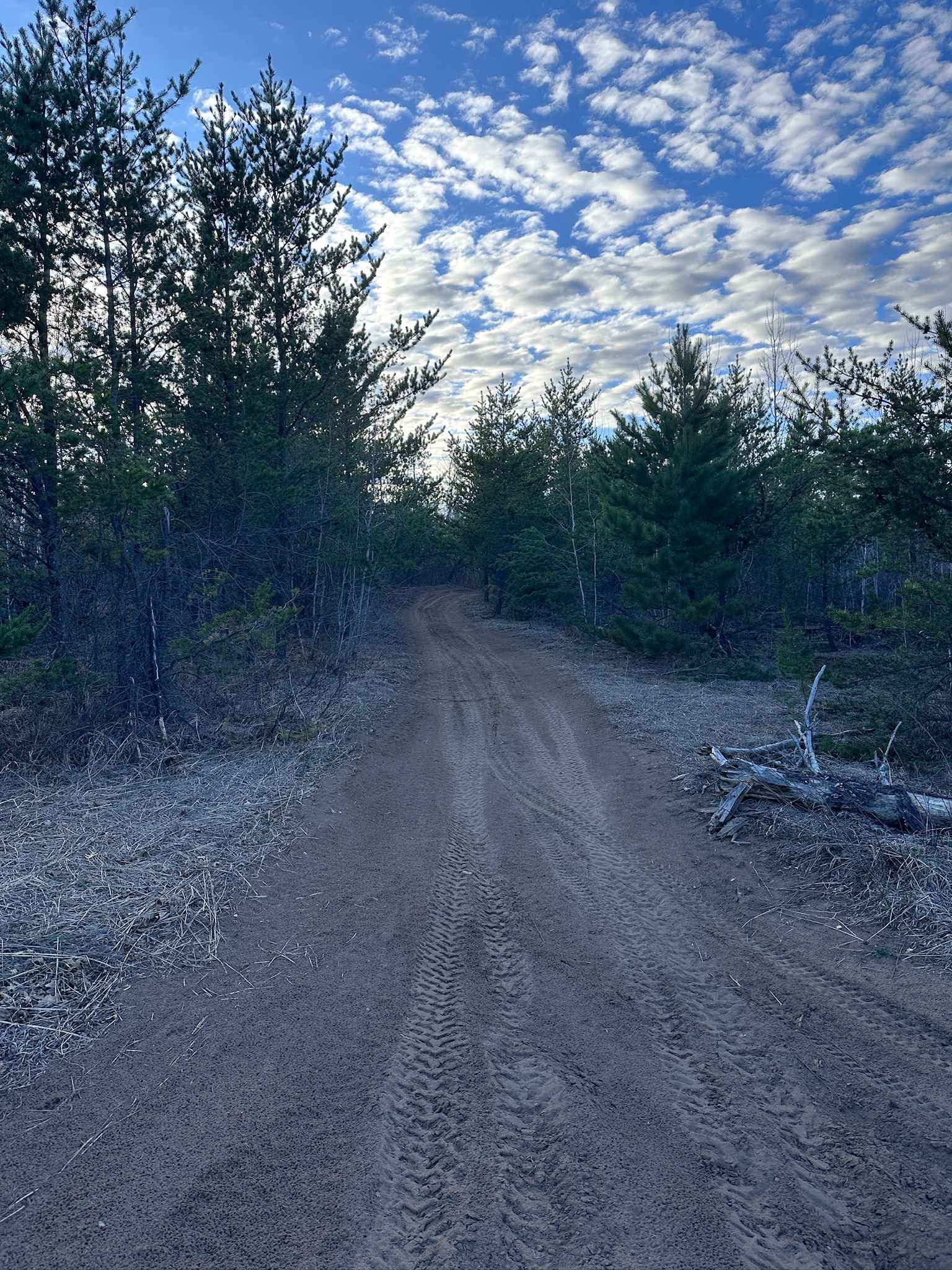 Zalesky Lake Trail