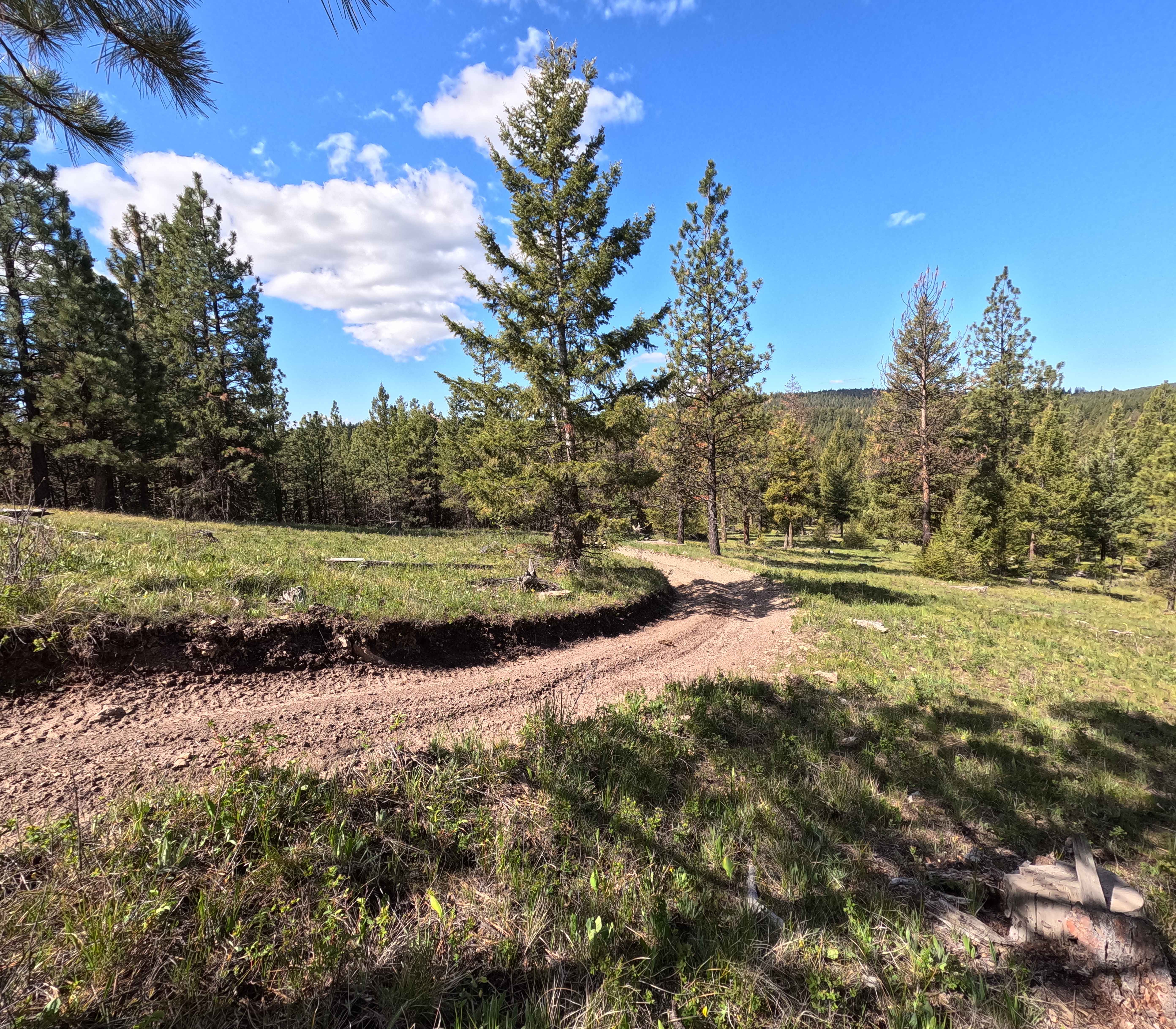 Meat Pole Trail - 54
