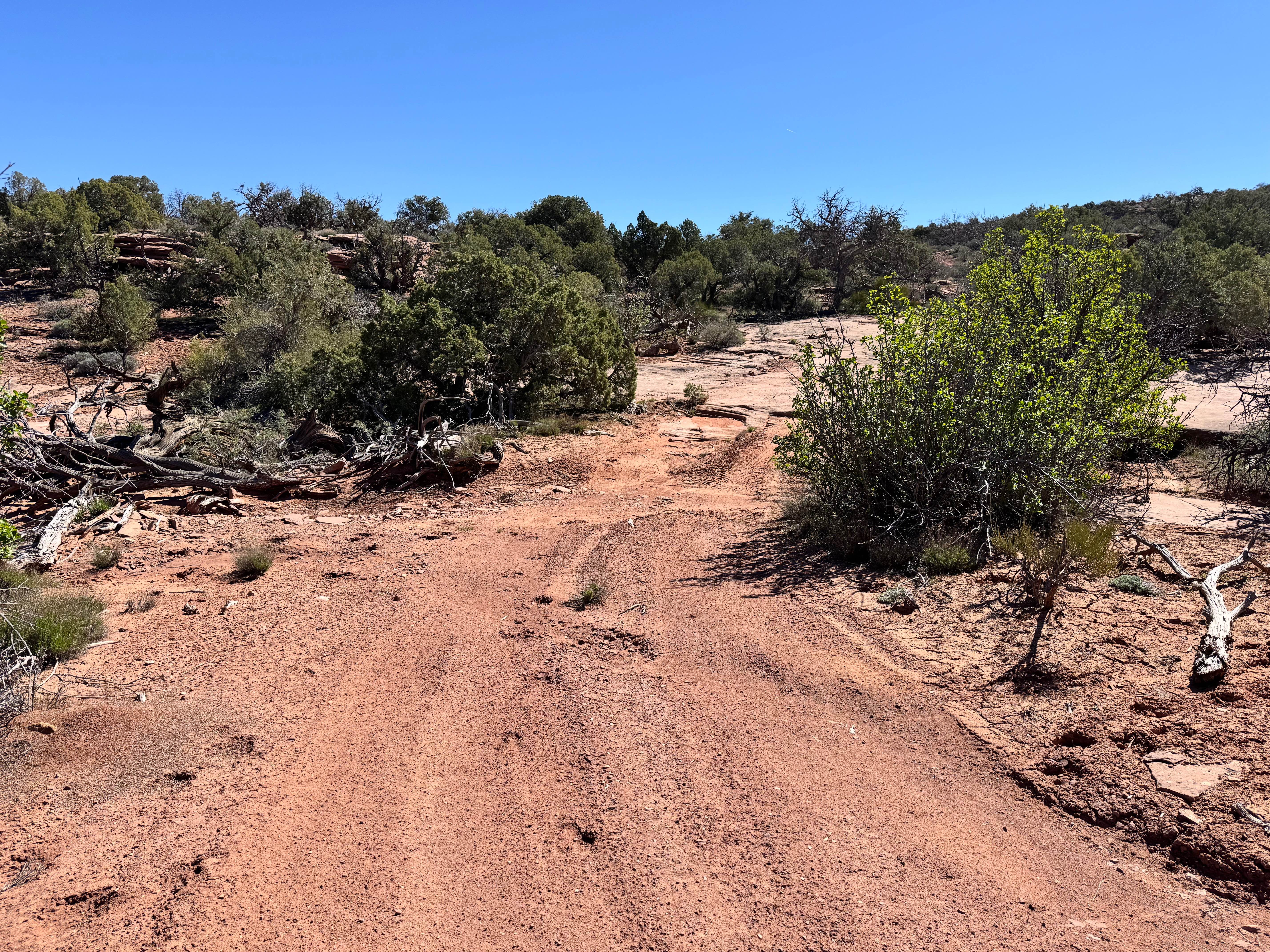 Dome Plateau - BLM 2118