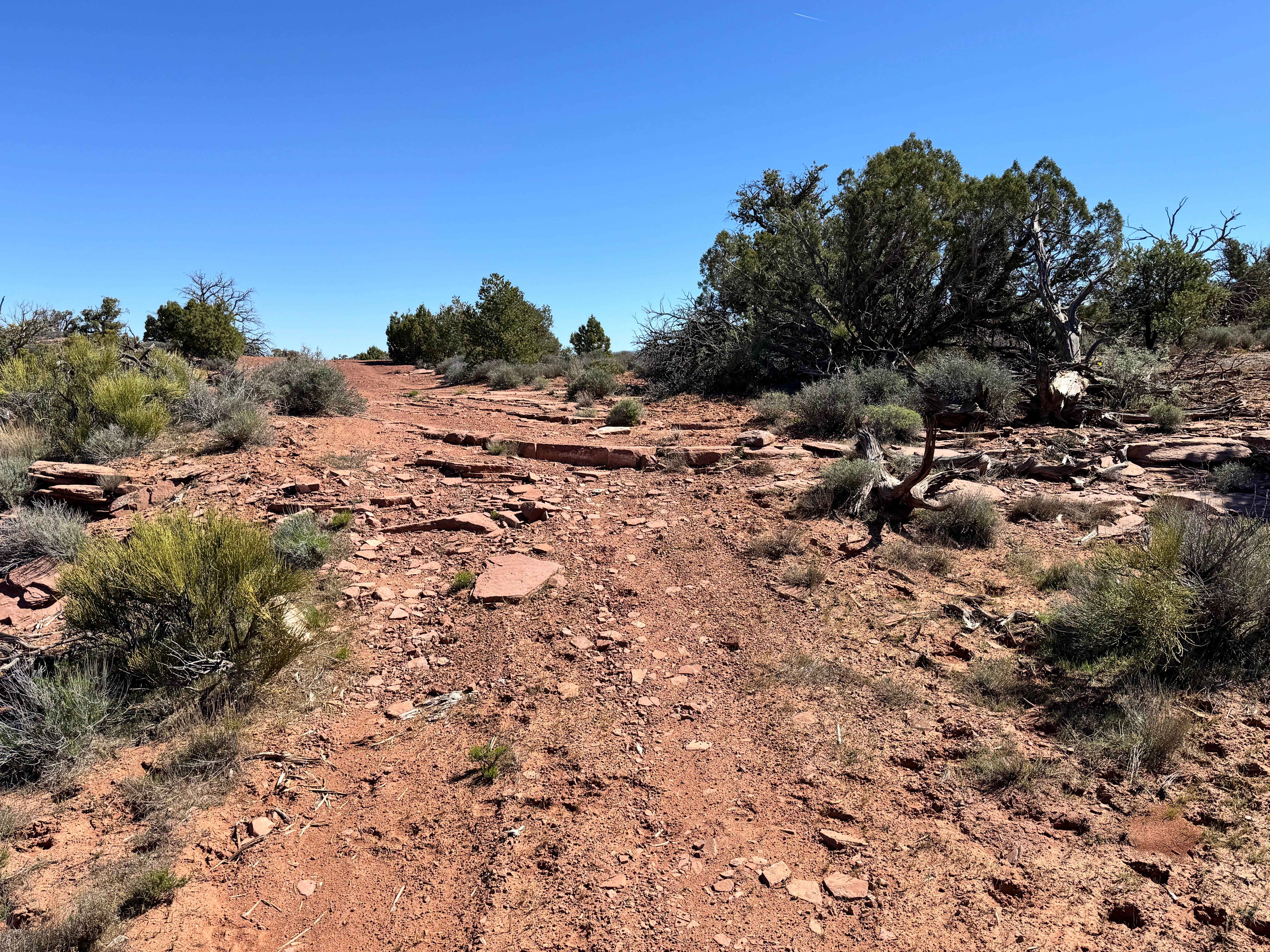 Dome Plateau - BLM 2118