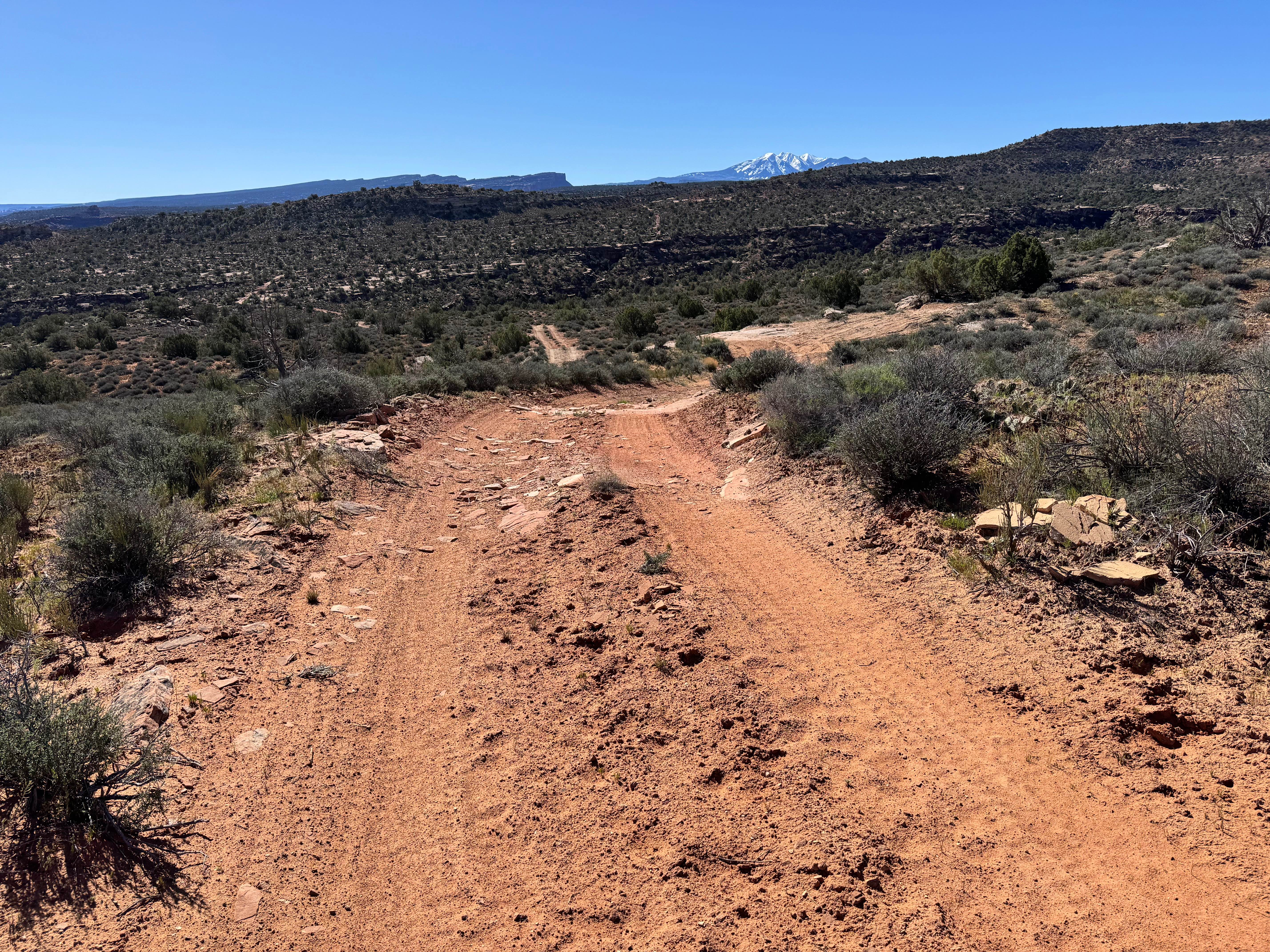 Dome Plateau - BLM 2216