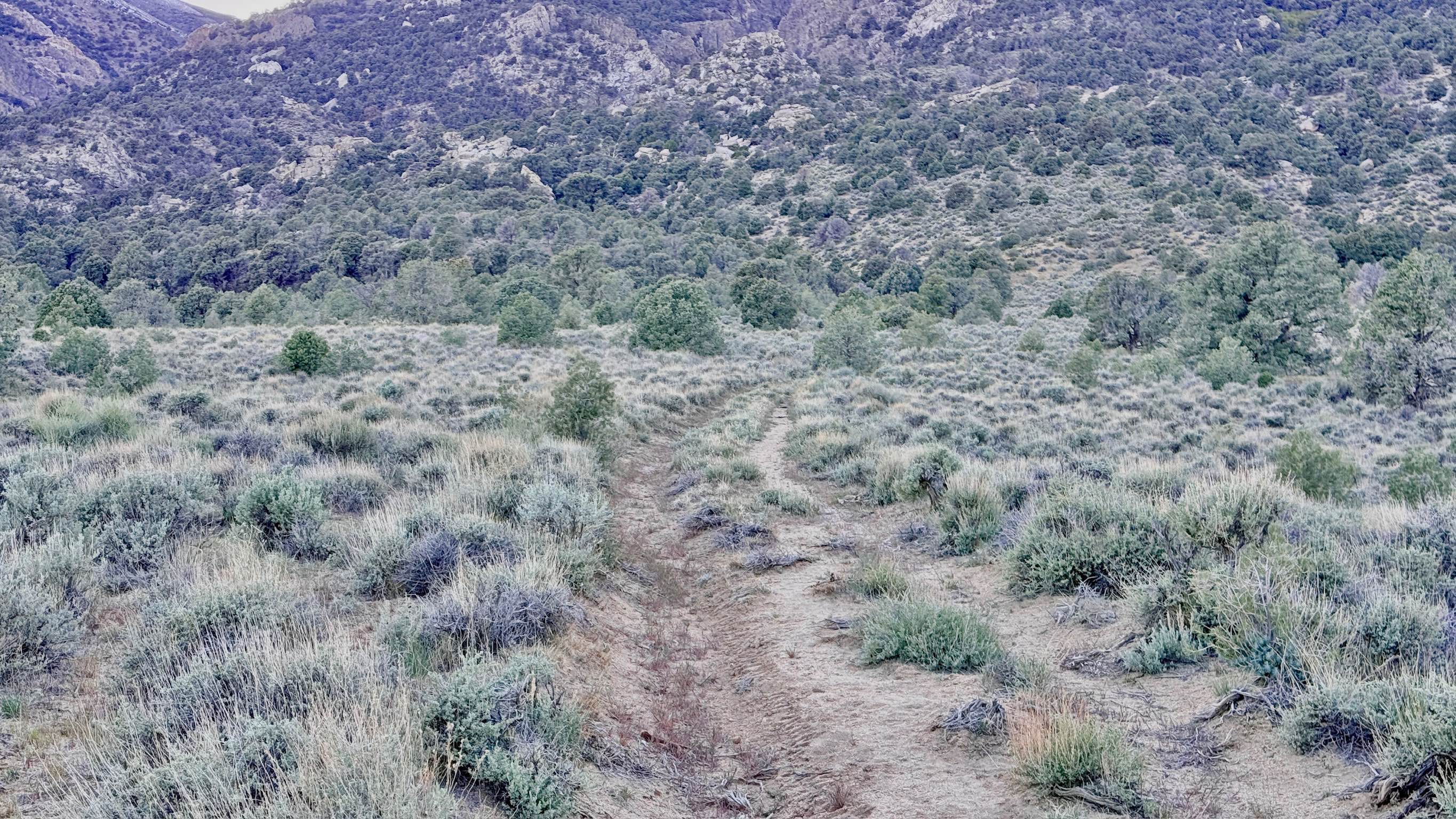 South Trail McLeod Bypass - FS 43340