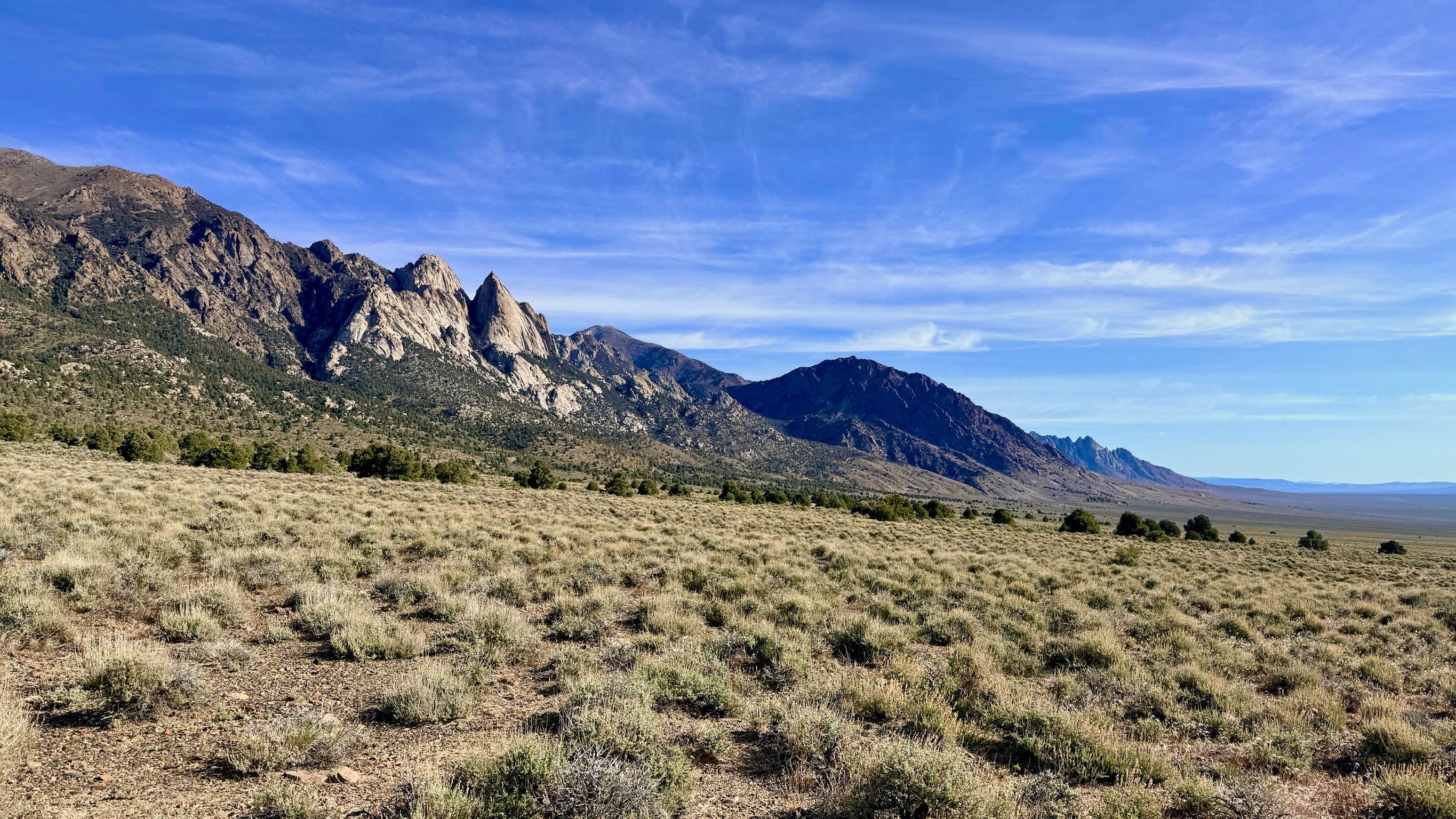 Trail Canyon - FS 43338