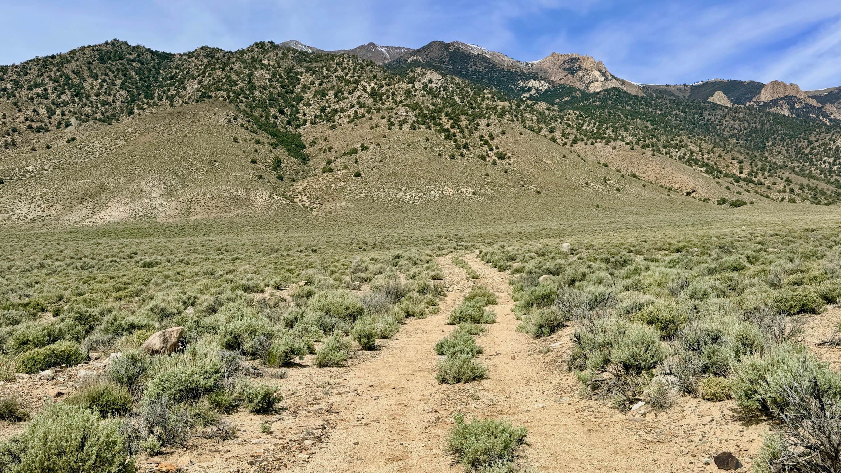 Tamblin Creek Loop - FS 43342