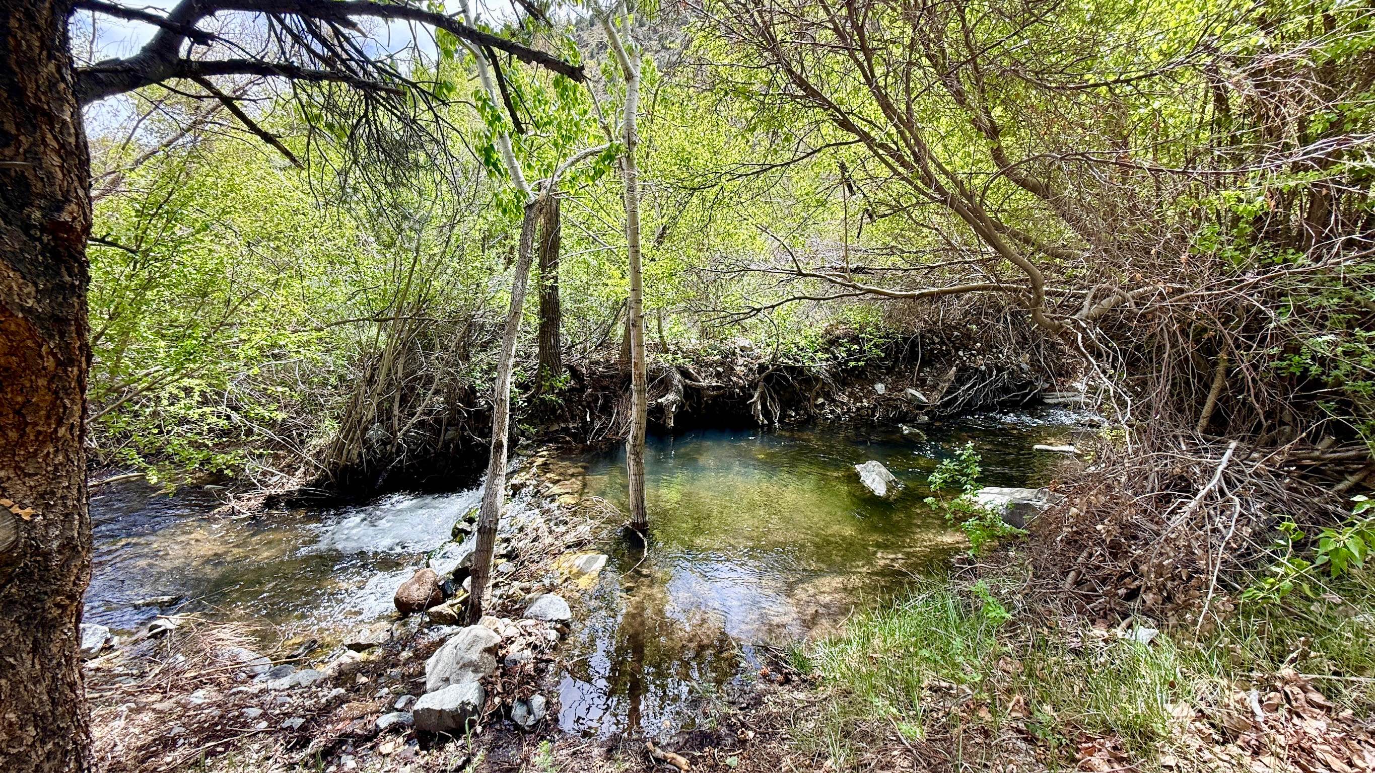 North Twin River - FS 43282
