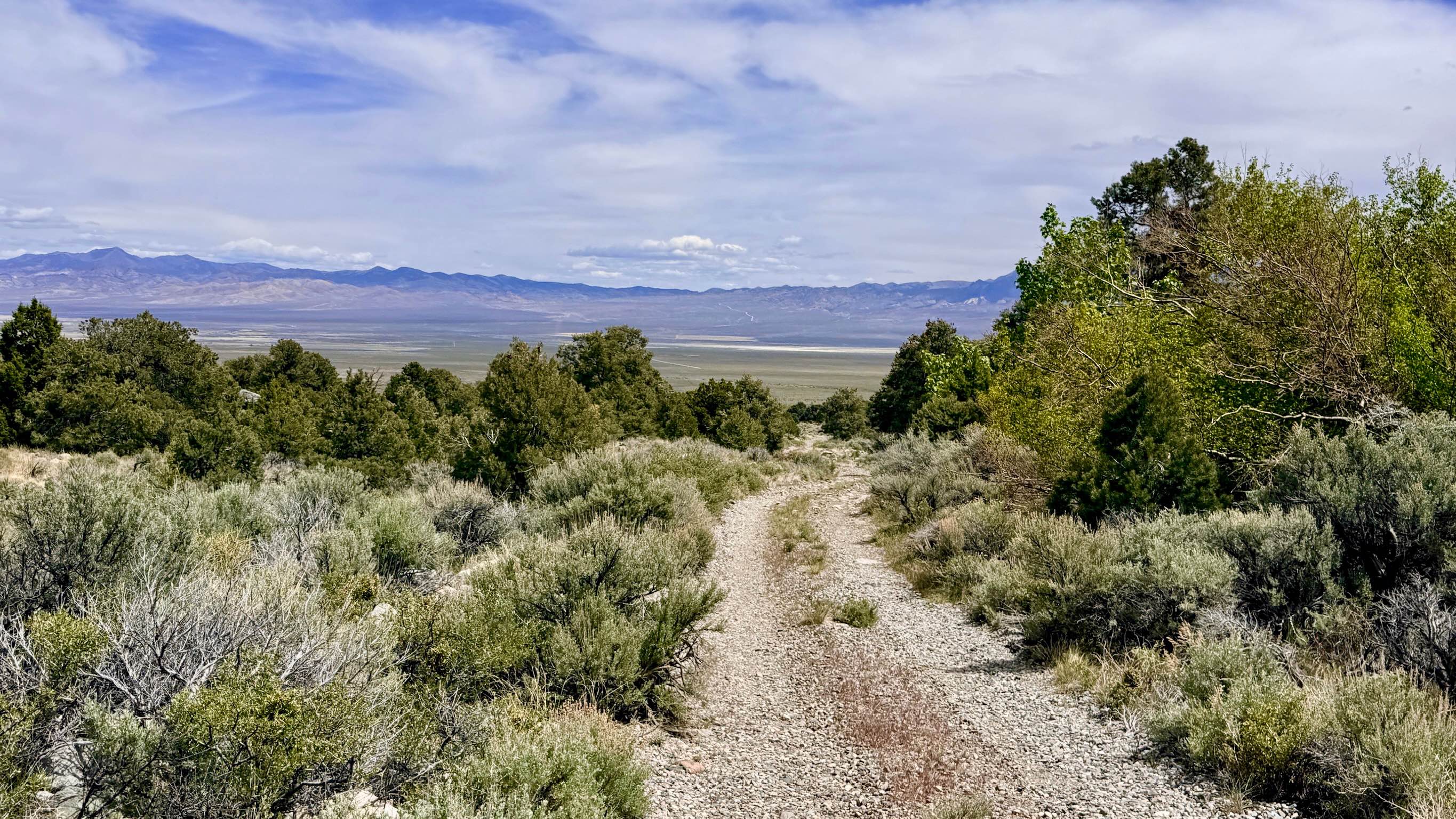 South Twin River - FS 44080