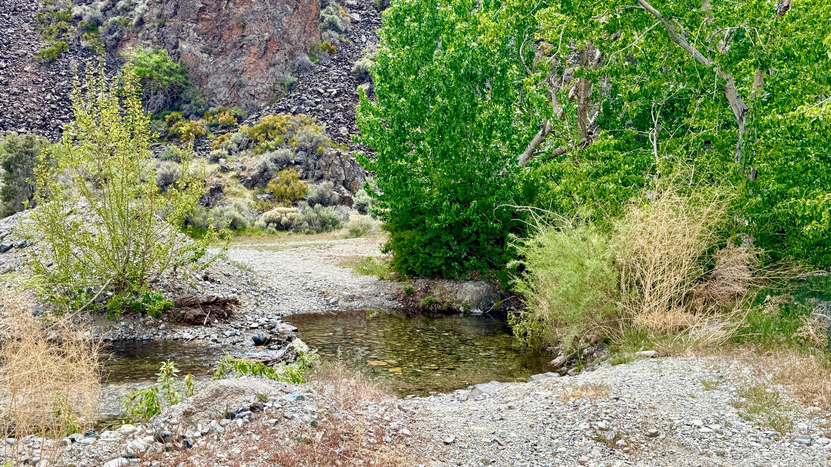 South Twin River - FS 44080