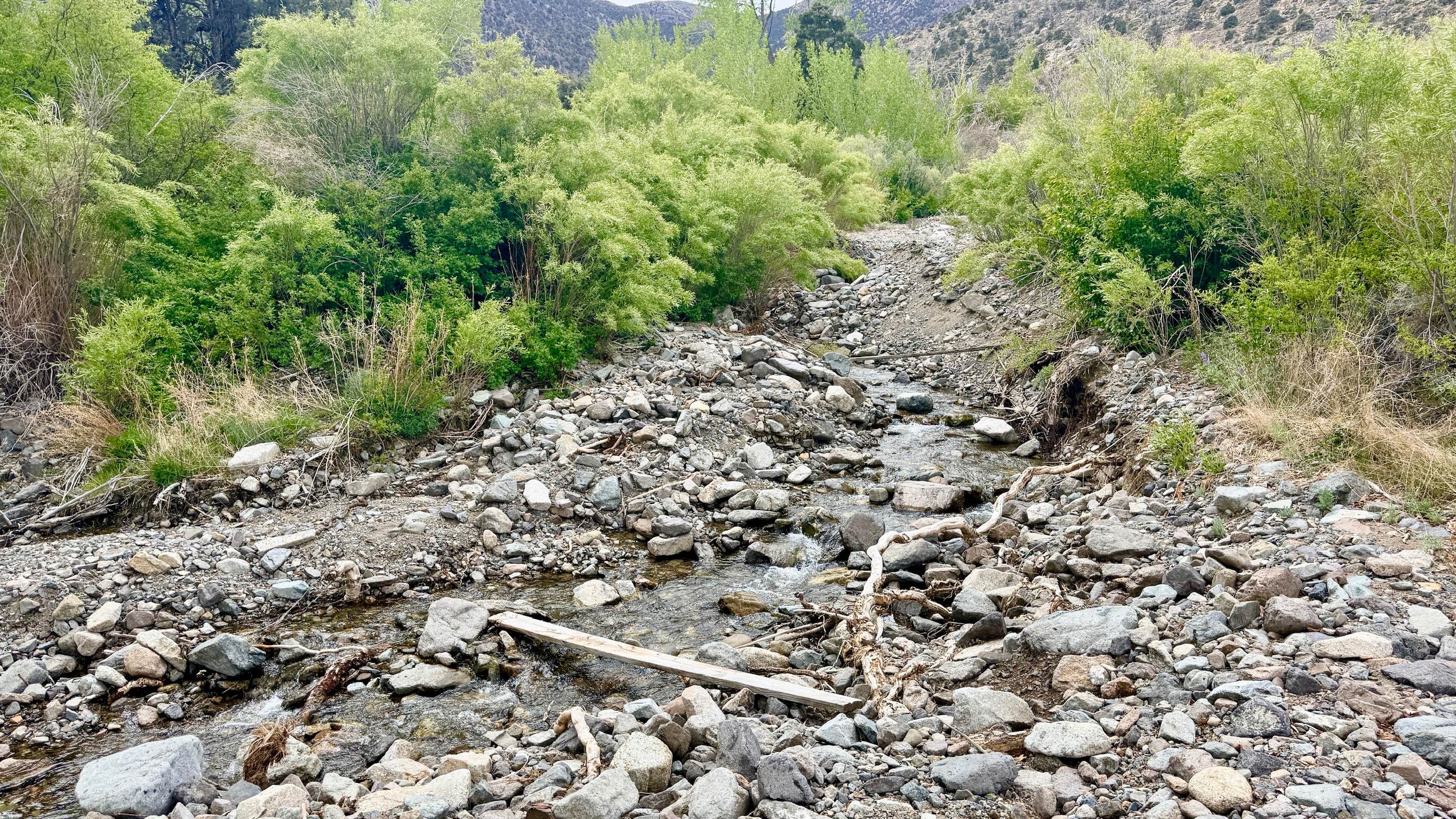 Broad Canyon - FS 44212