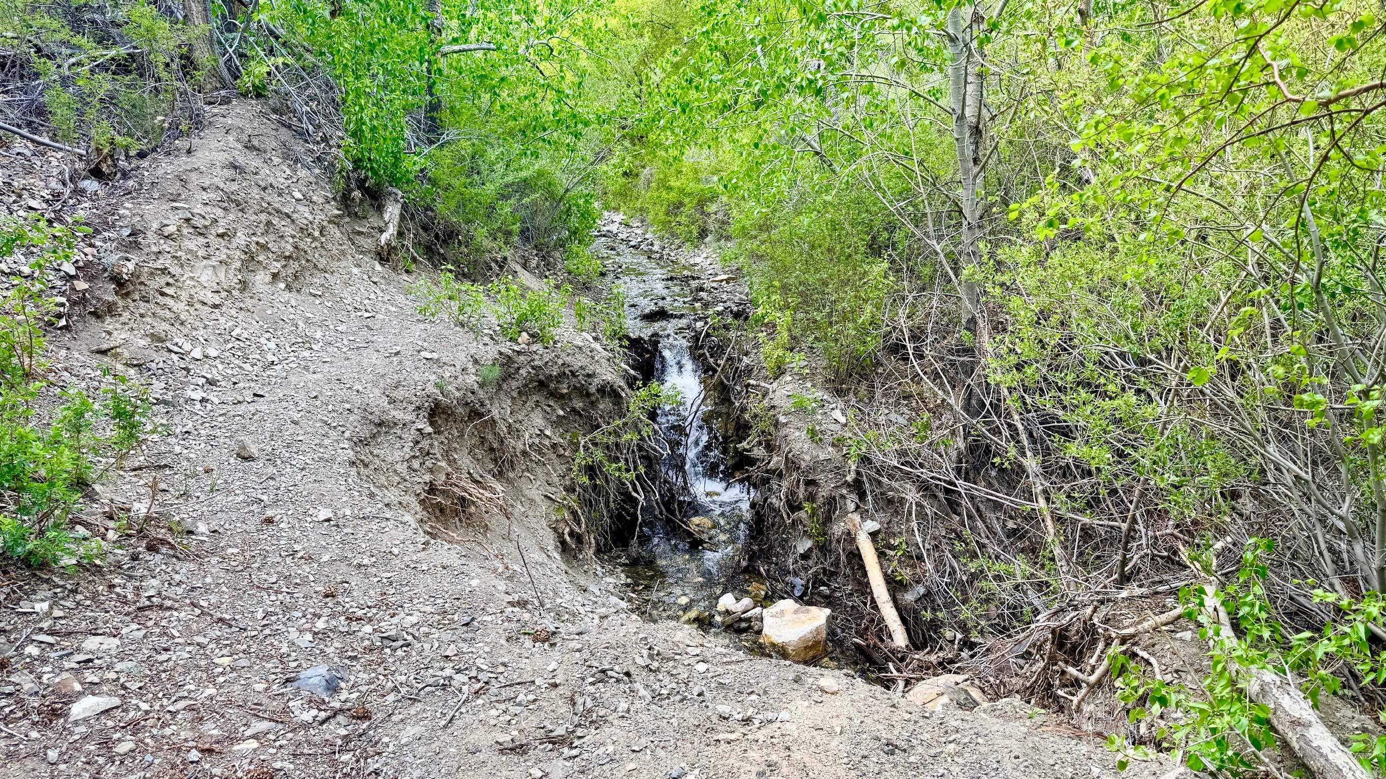 Jett Creek - FS 44090