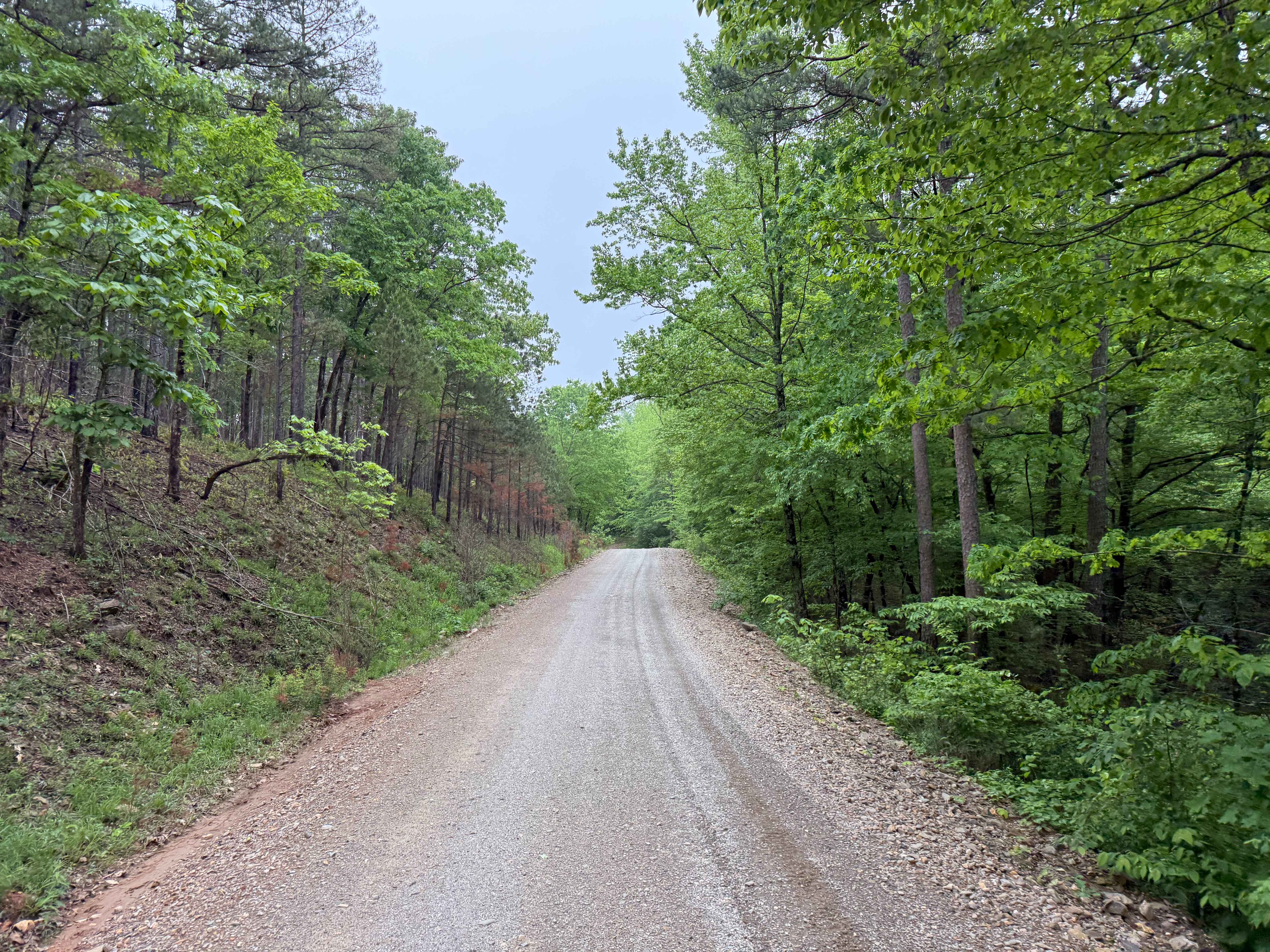 Polk County Road 601
