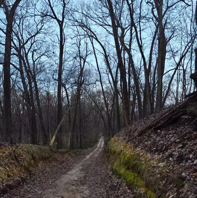 Hart Trail
