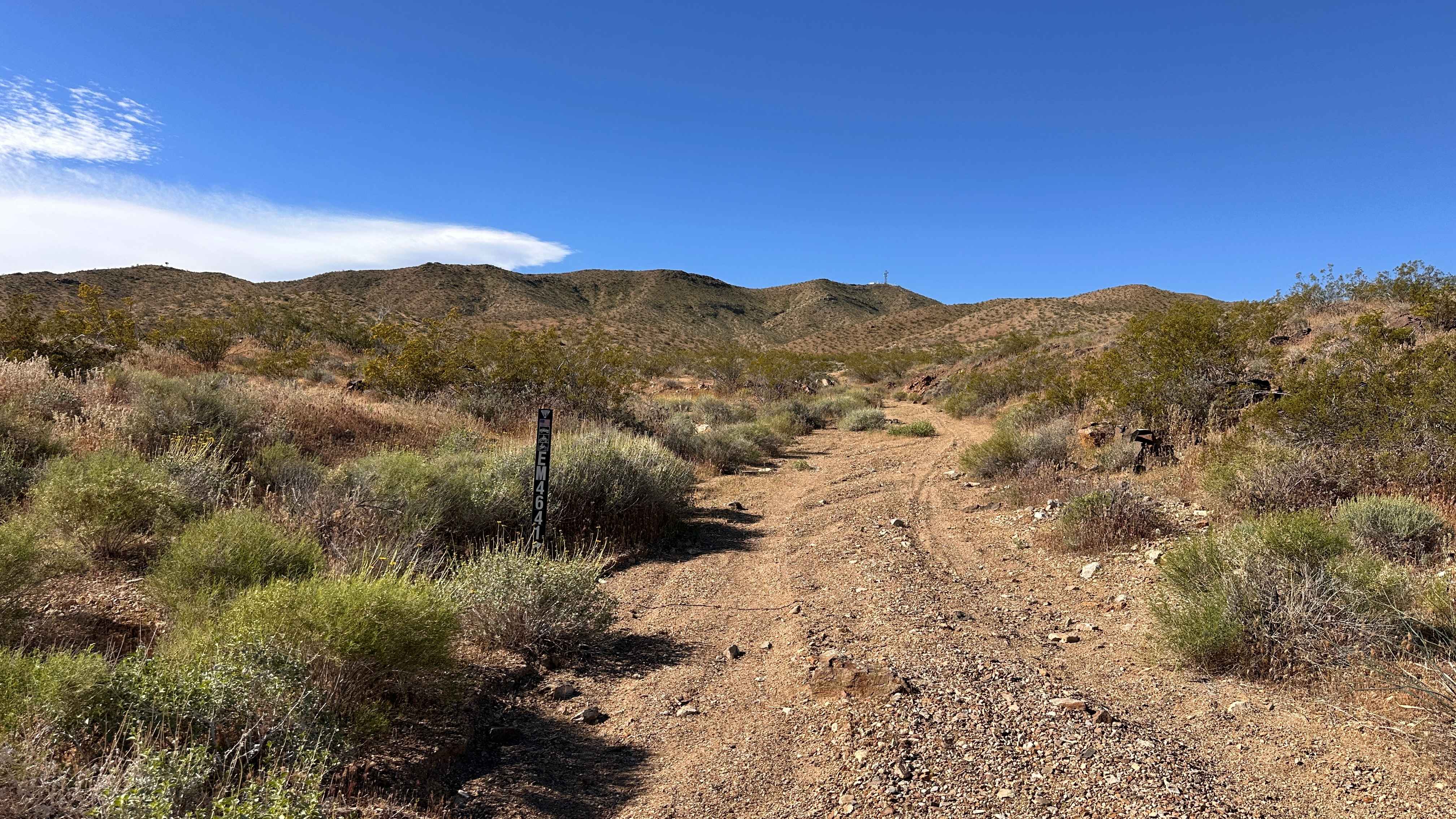 Painted Canyon Run